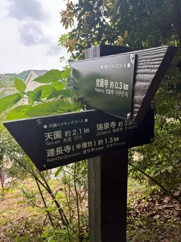 新緑眩しい鎌倉ハイキングに出掛けませんか？_1_10-3