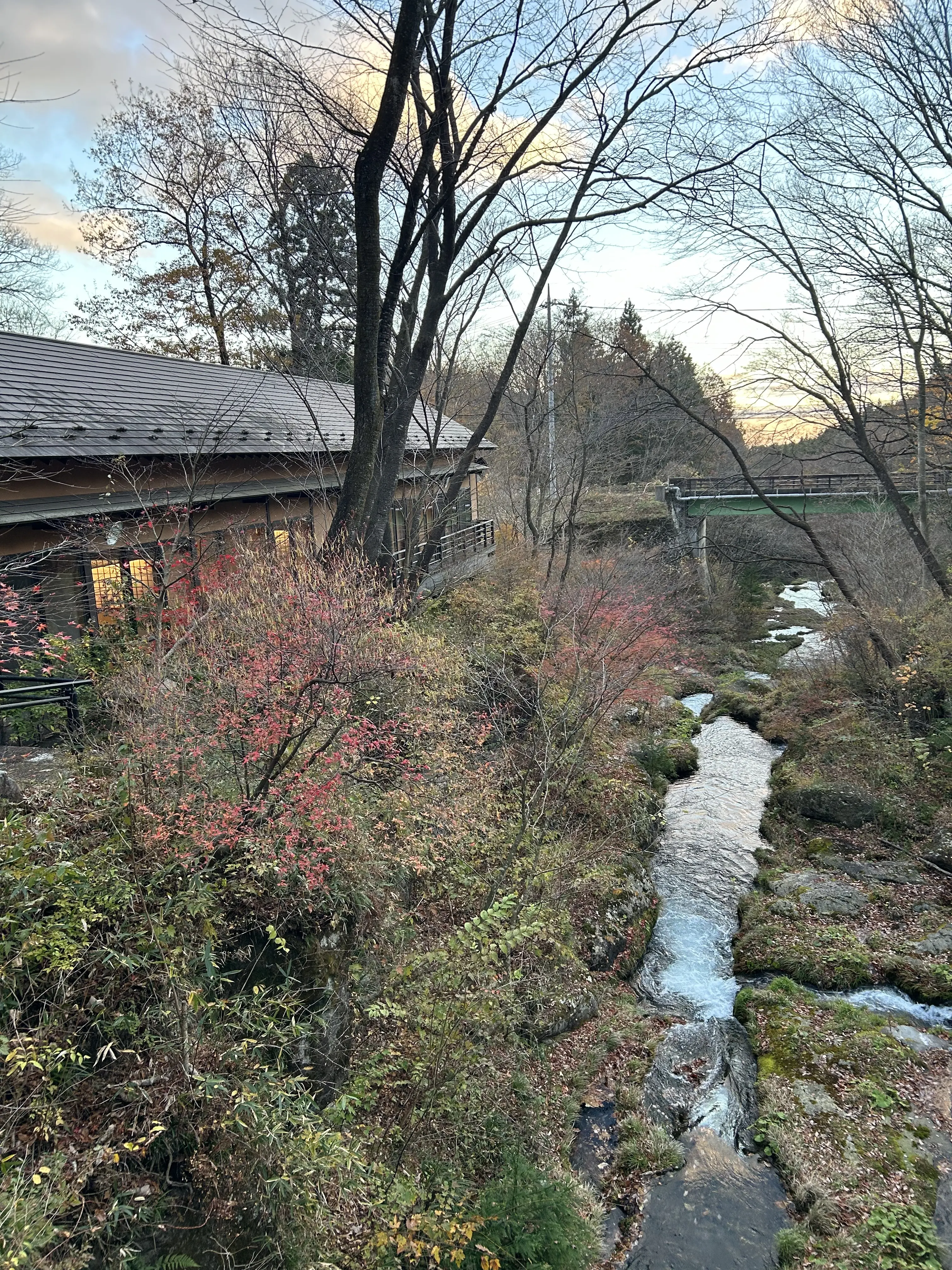 晩秋の那須高原へ紅葉狩りに_1_13