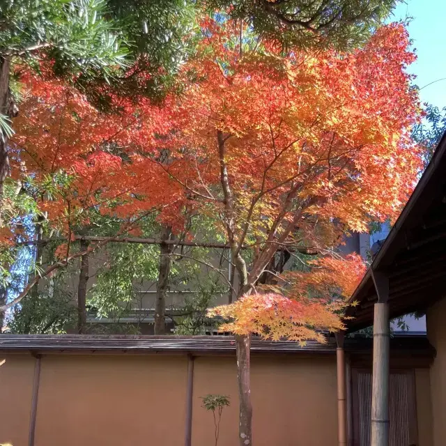 おすすめの鎌倉のスポット、一条恵観山荘