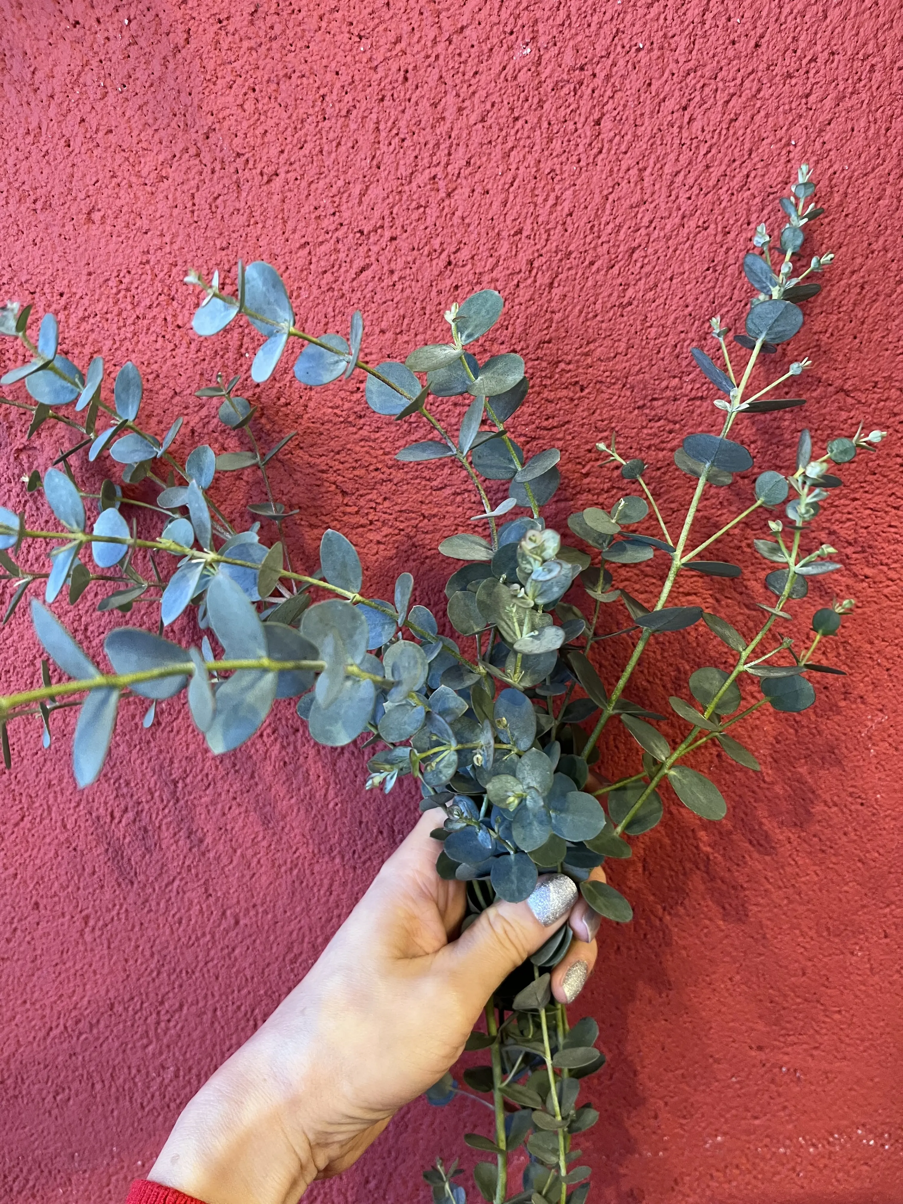 誕生日のブーケと最後にちょっとだけキラキラ観賞_1_5-2