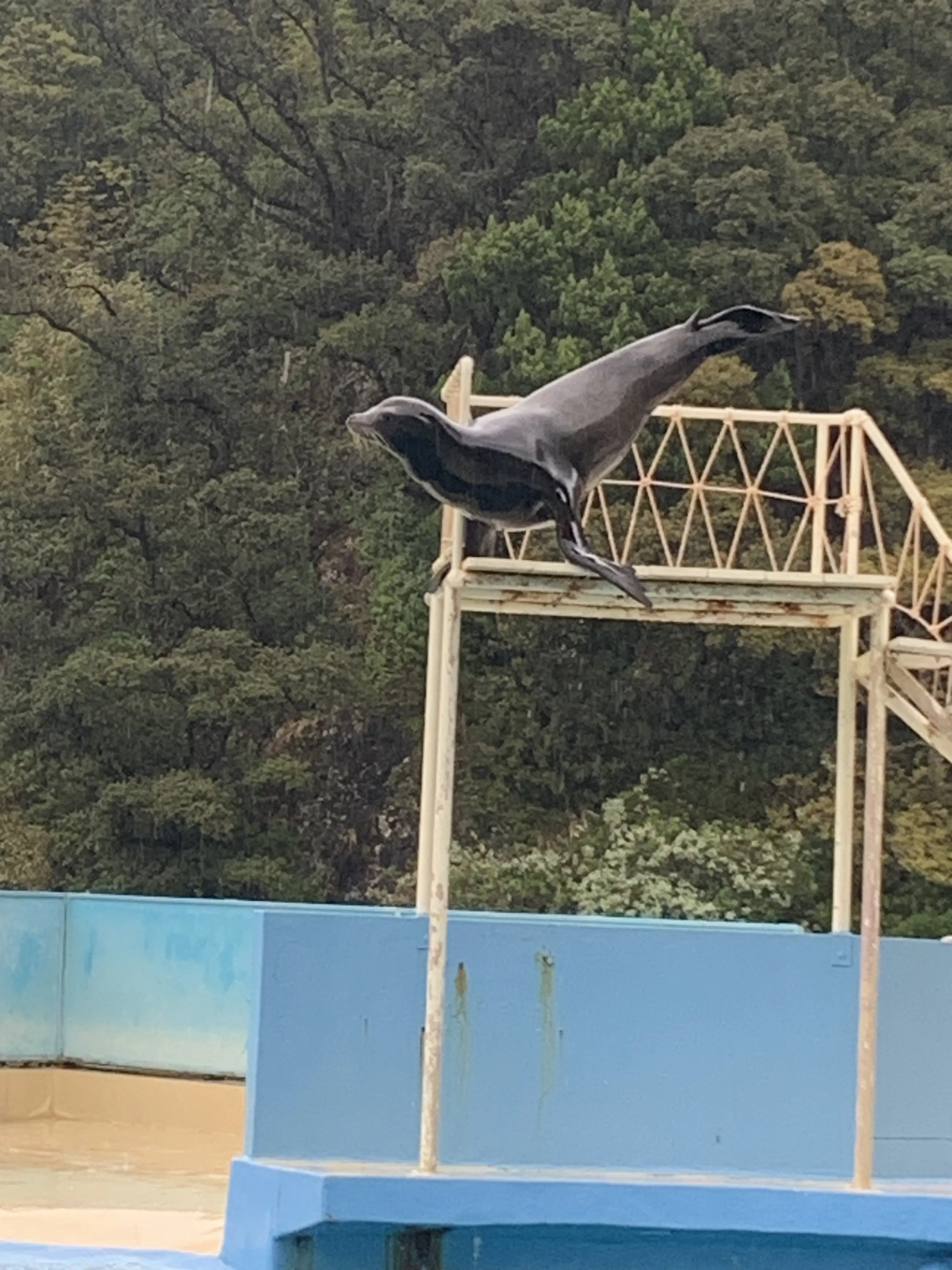 今年の春旅はハリウッド女優もお忍びで訪れる美人の湯 下田観音温泉へ【後編】_1_12