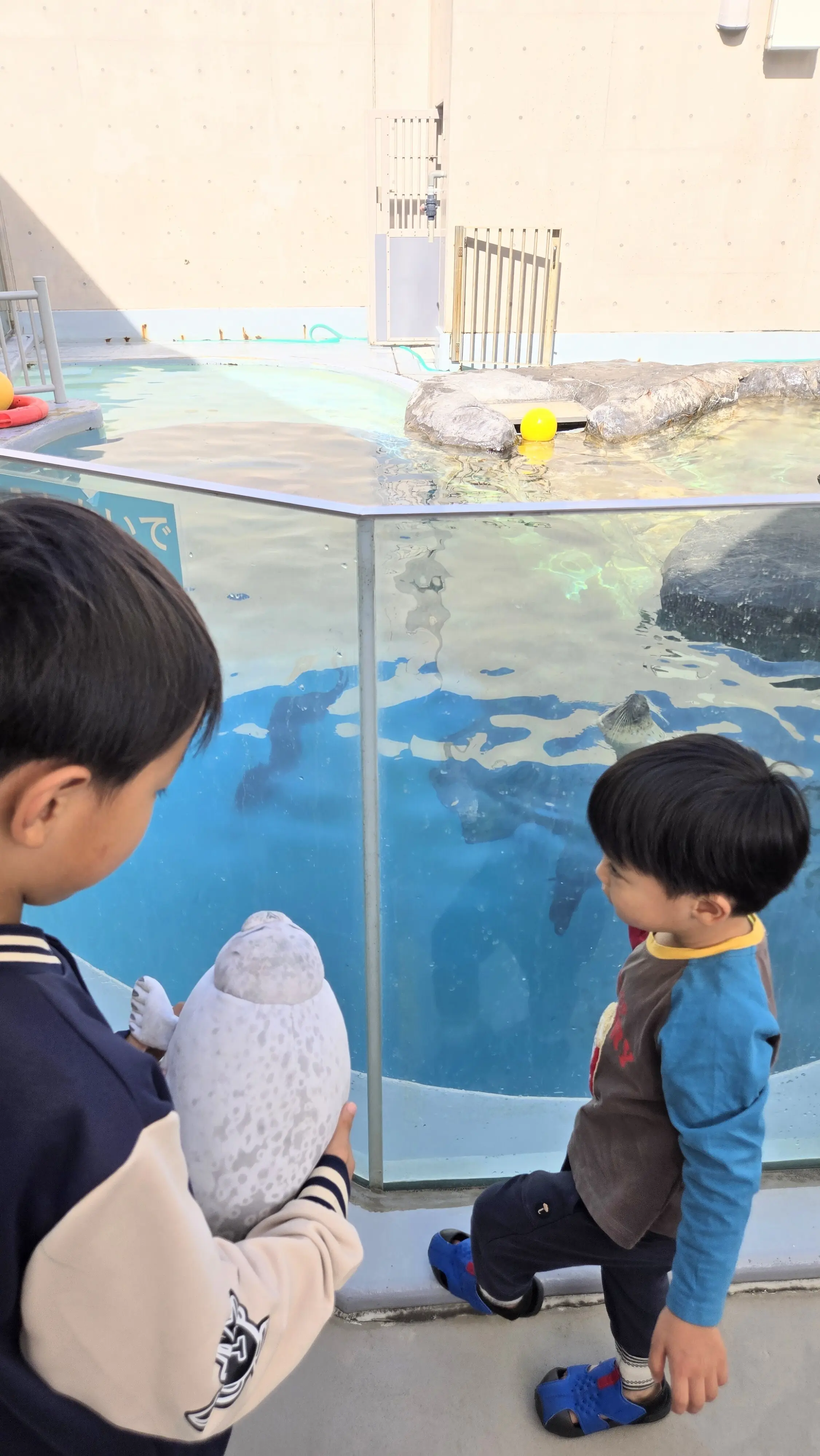 家族で楽しむクルーズ旅行！　MSCベリッシマで行く函館・秋田・石川寄港地巡り②_1_14-1