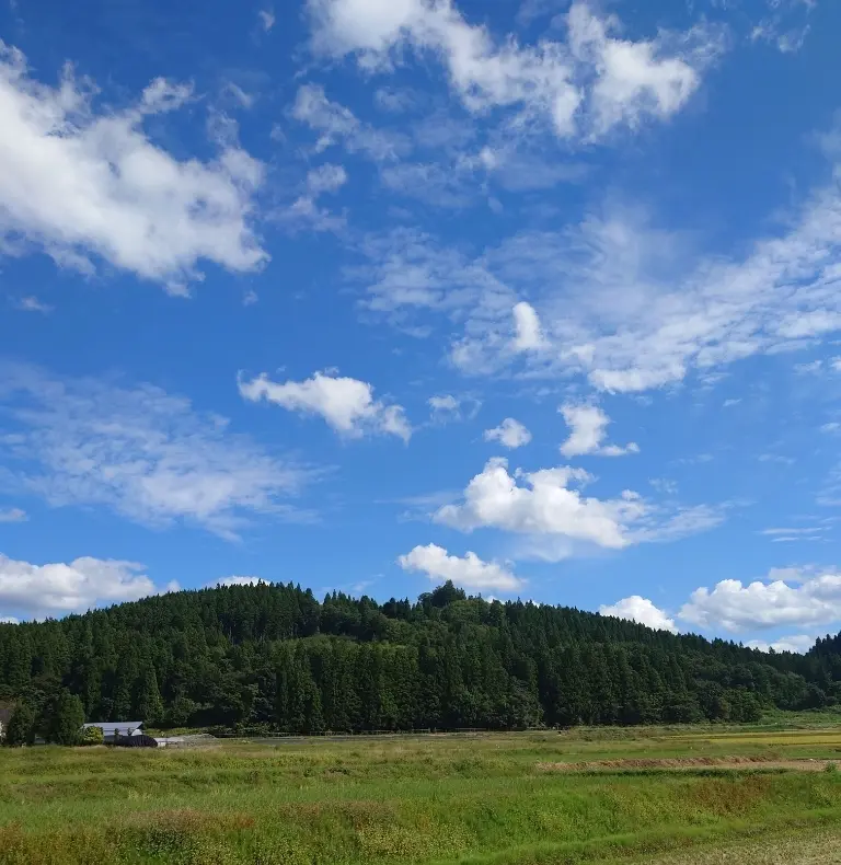 山間部の景色