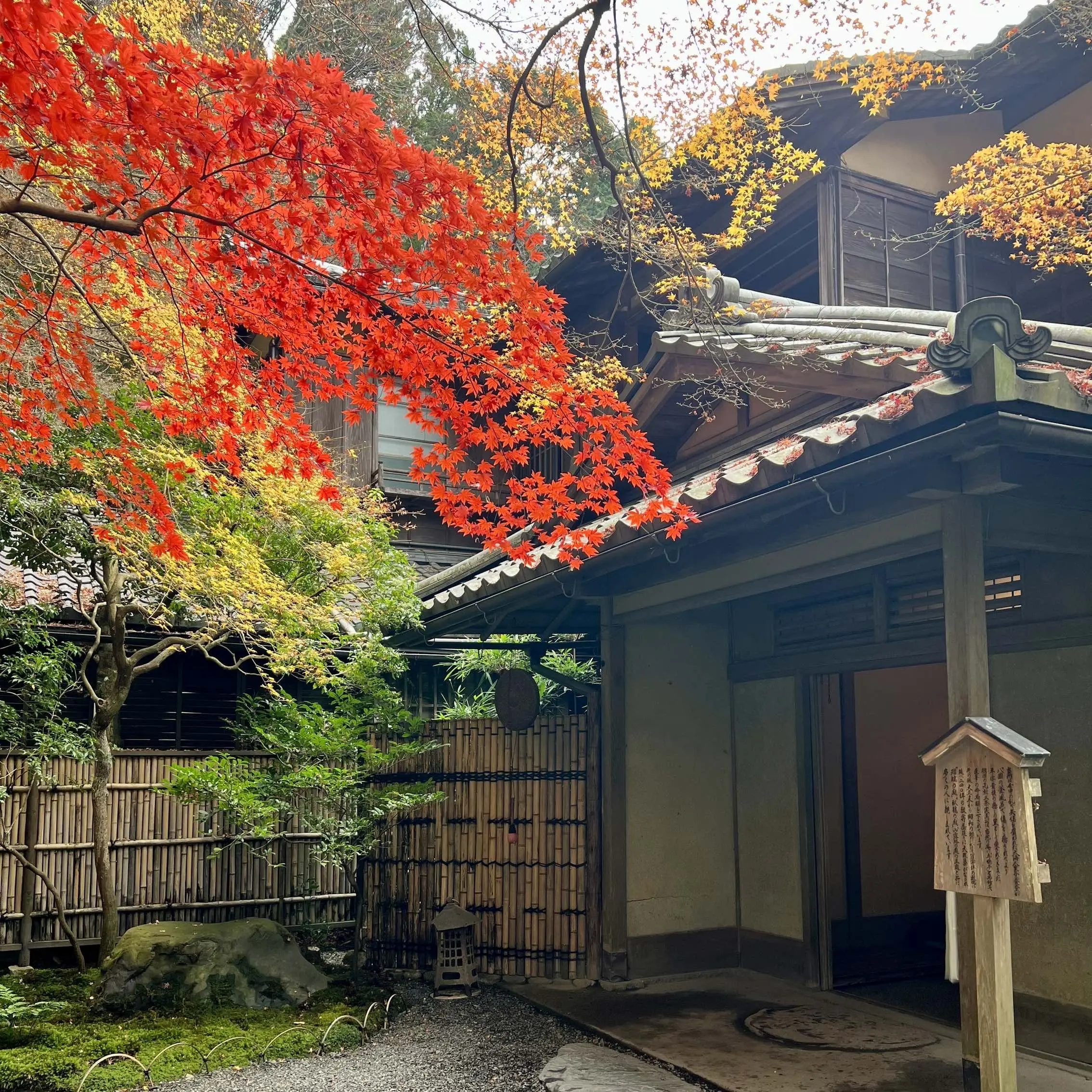 秋の景色を楽しむ♡京都の紅葉_1_6