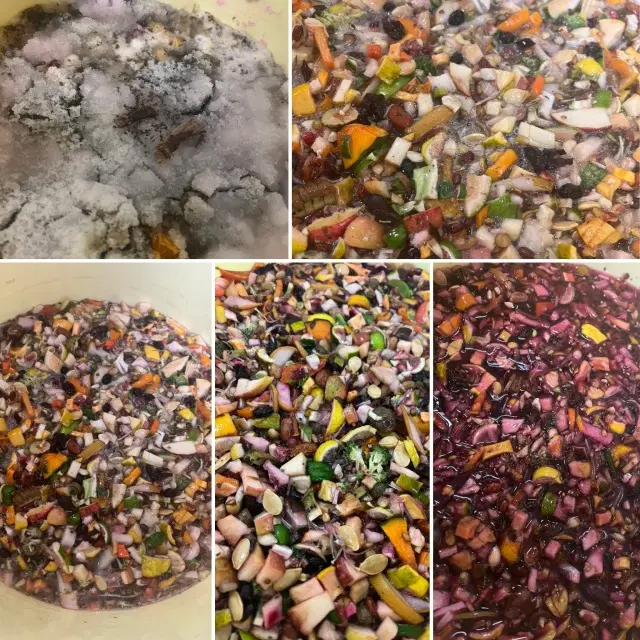 秋の恵みたっぷり！手作り酵素ドリンク_1_9