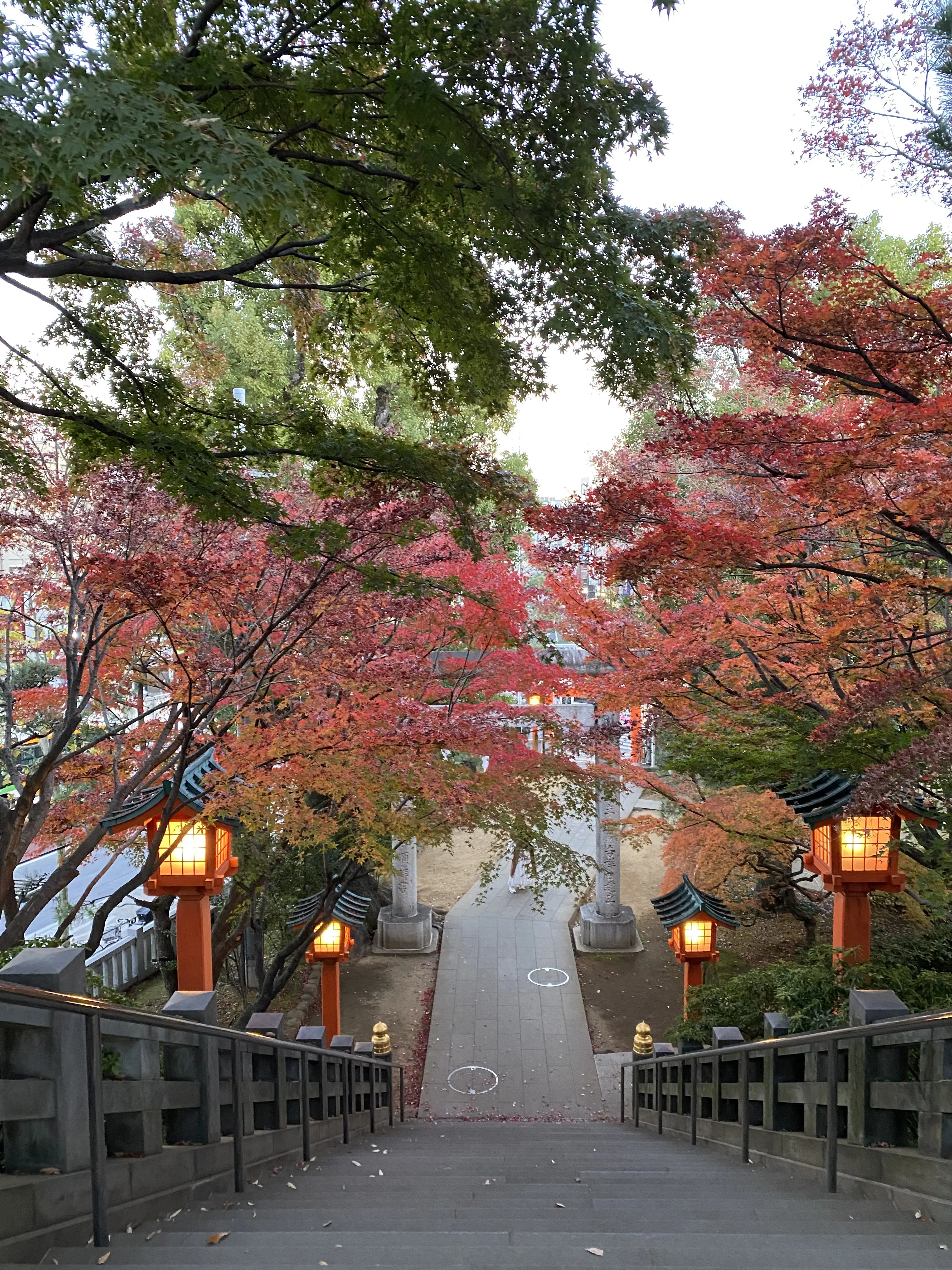 穴八幡宮の階段を境内から見下ろした風景。紅葉トンネルと朱色の灯籠が美しい秋の参道。早稲田の人気パワースポット穴八幡宮の紅葉景色