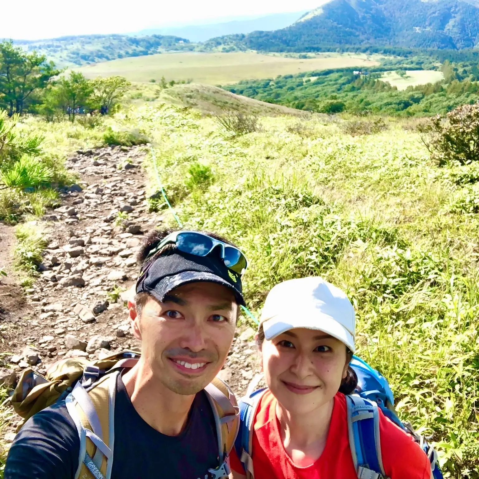 長野県、霧ヶ峰高原、八島ヶ原湿原