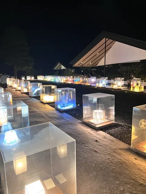 幻想的な光の饗宴〜美濃あかりアート〜_1_13