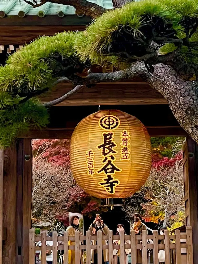 長谷寺　鎌倉　鎌倉観光　紅葉ライトアップ　ライトアップ　御足参り　特別参拝　1300年