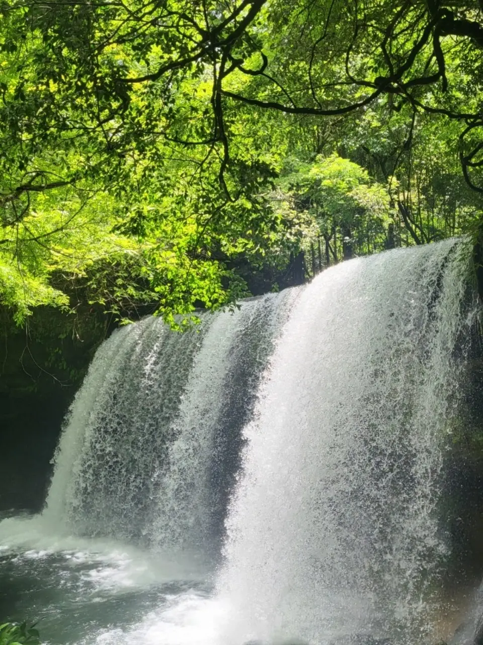 【熊本旅行】阿蘇五岳とカルデラの絶景♡観光スポット6選_1_13