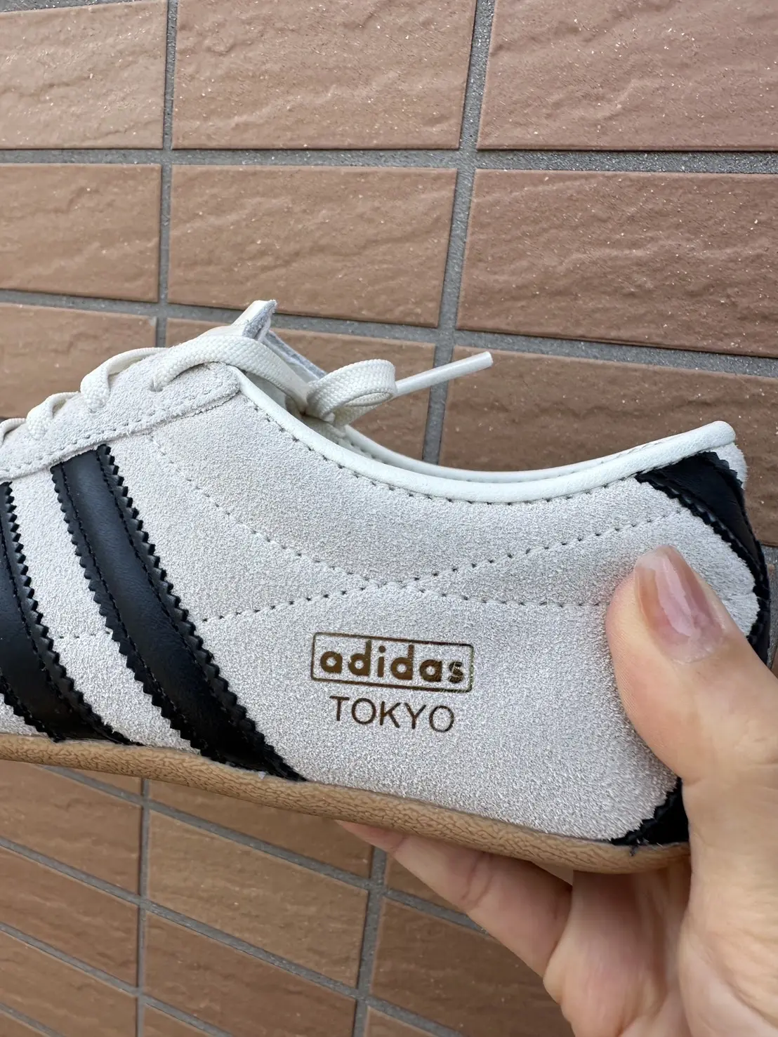 ロゴ入り