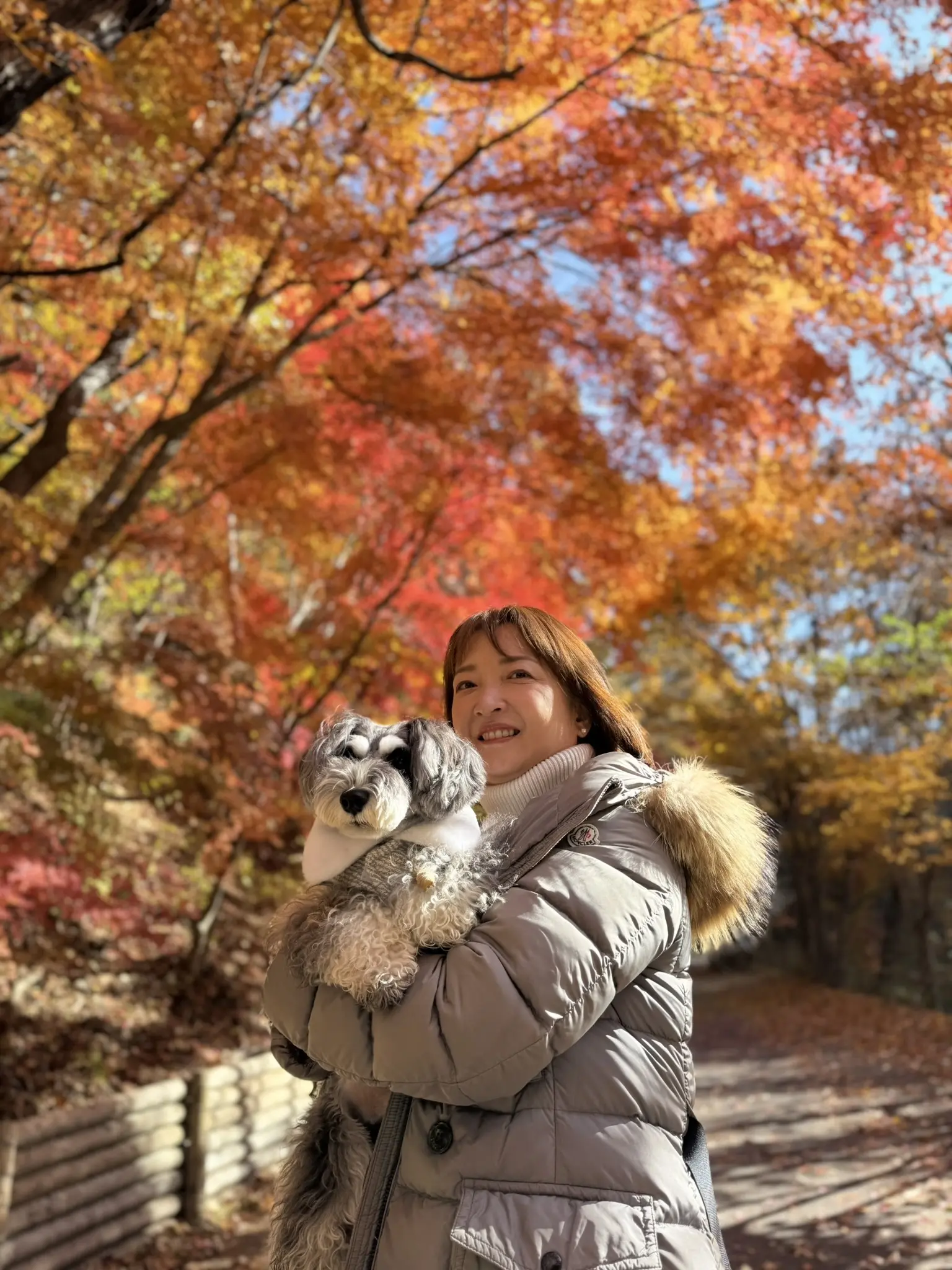 軽井沢　紅葉　梅澤千佳子