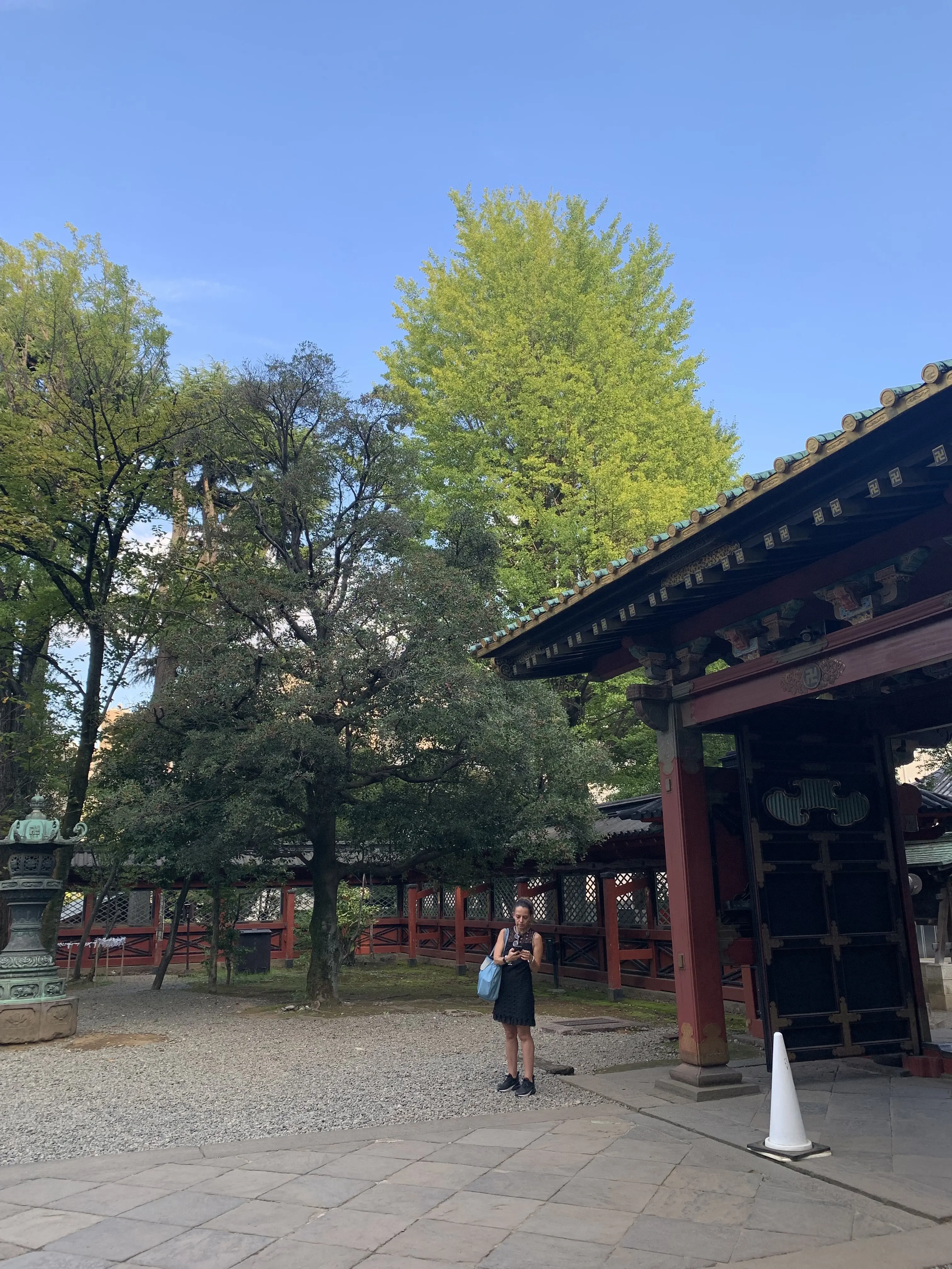 根津神社を訪れる外国人
