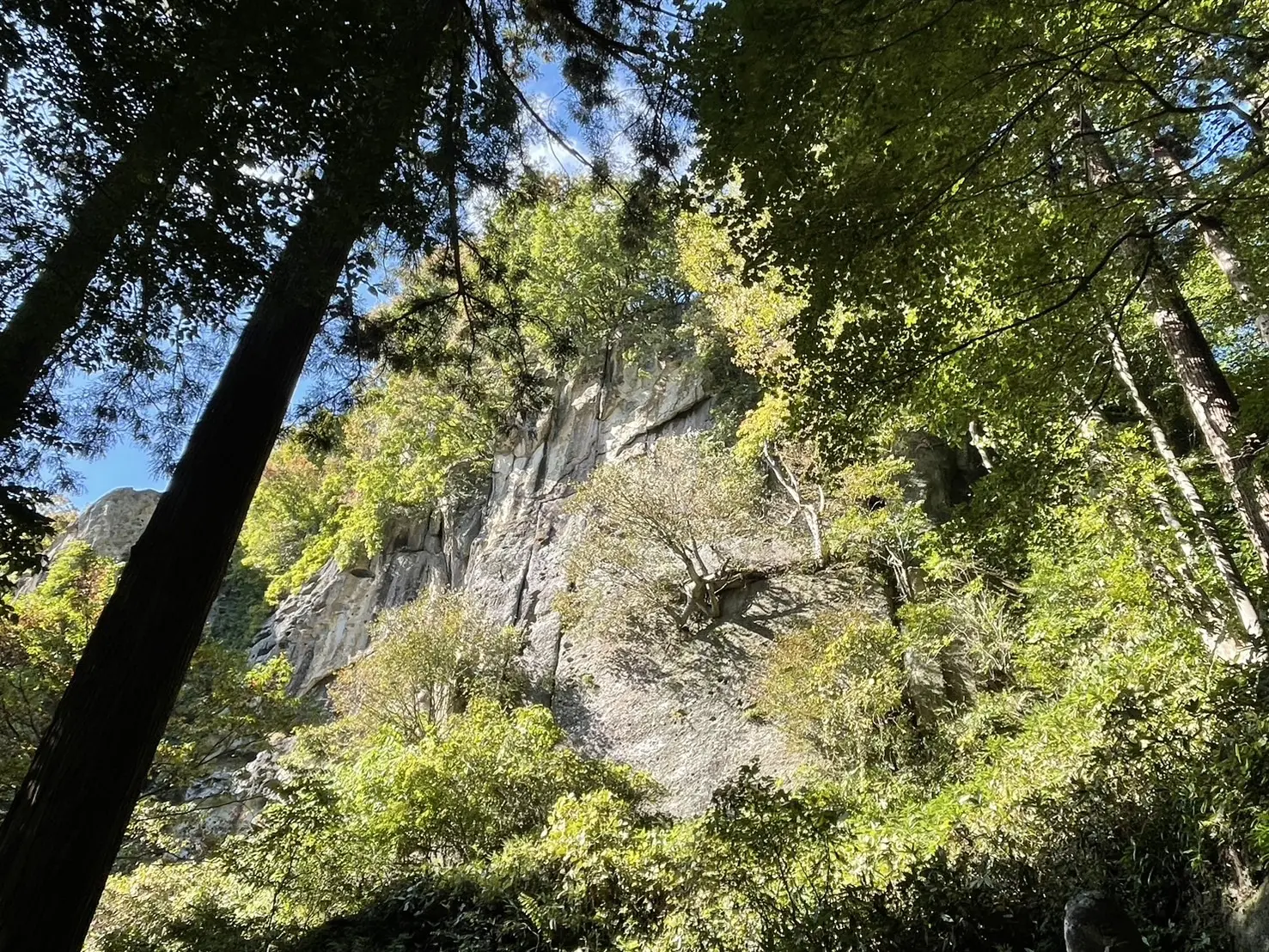 宝珠山立石寺　山寺　