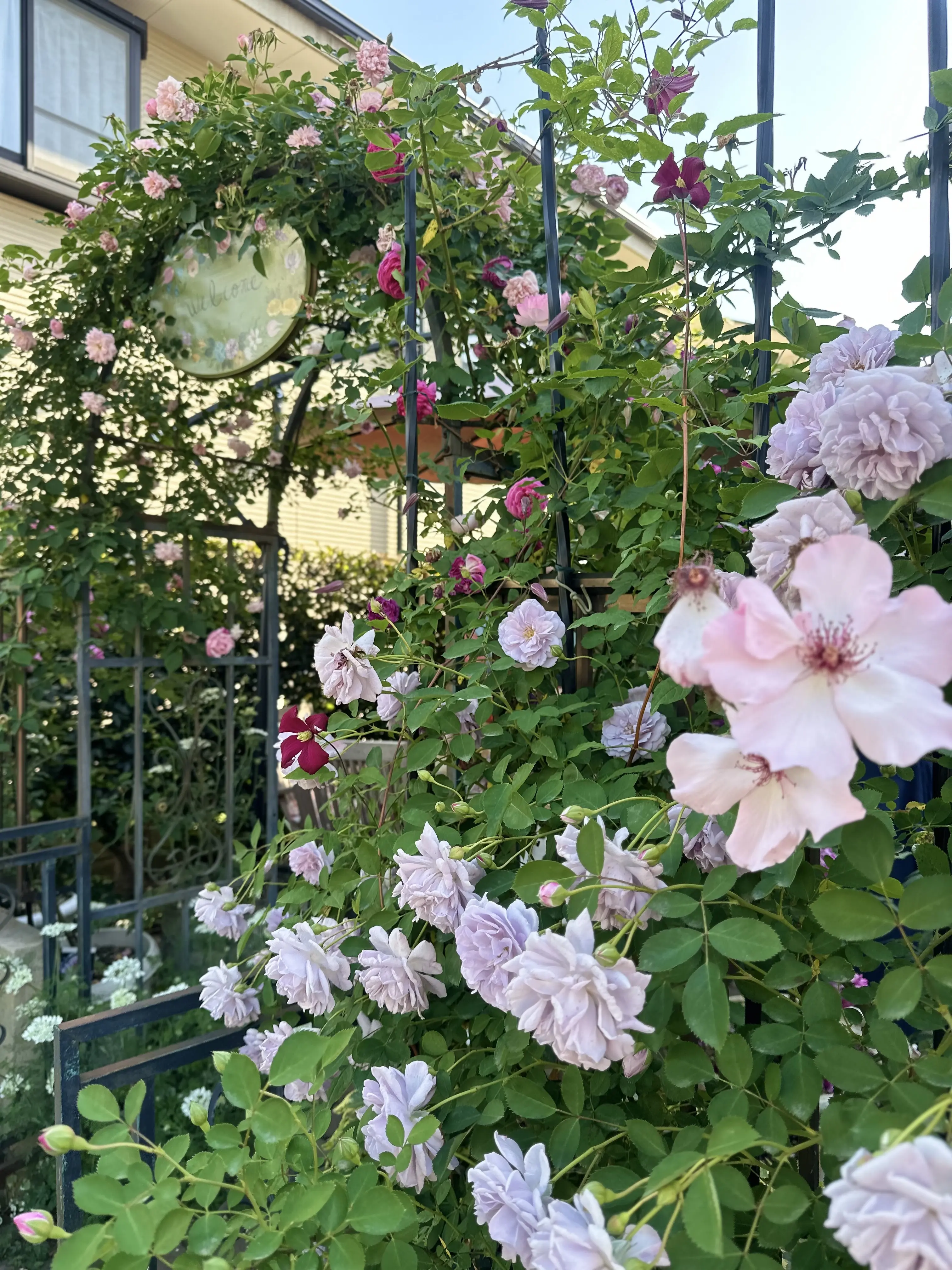 恒例のpotluck薔薇会へ_1_2-2