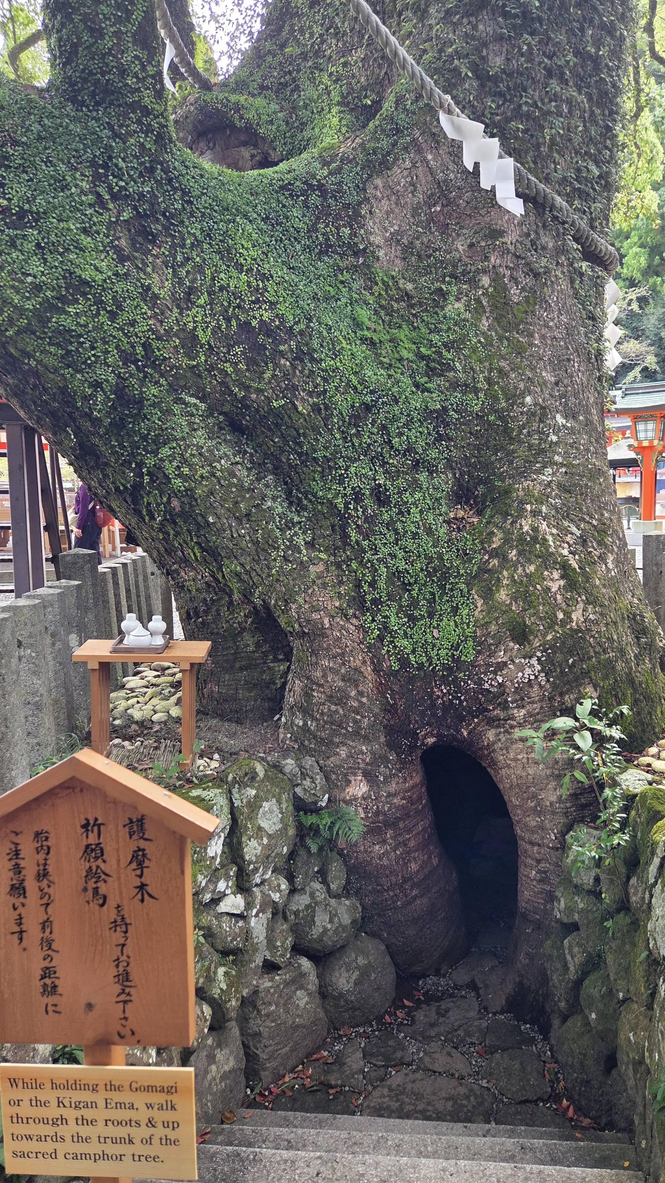 和歌山2泊3日　熊野古道にふれる世界遺産の旅①_1_8-3