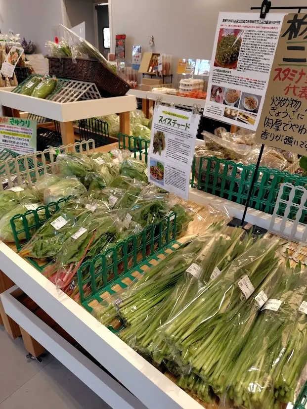那須温泉♨大人の梅雨休暇④白亜の洋館_1_8-1
