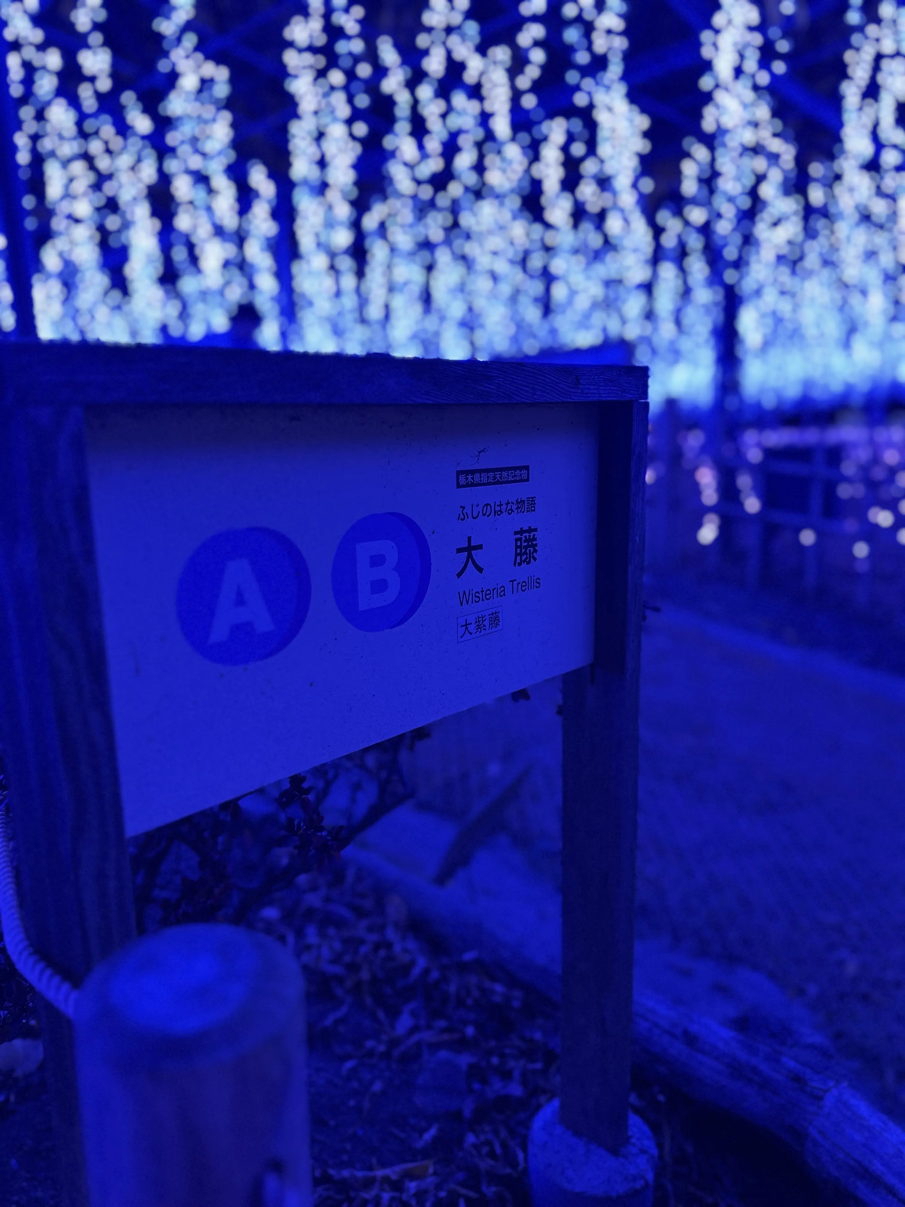 ため息が出るほど綺麗なあしかかフラワーパークへ_1_3-1