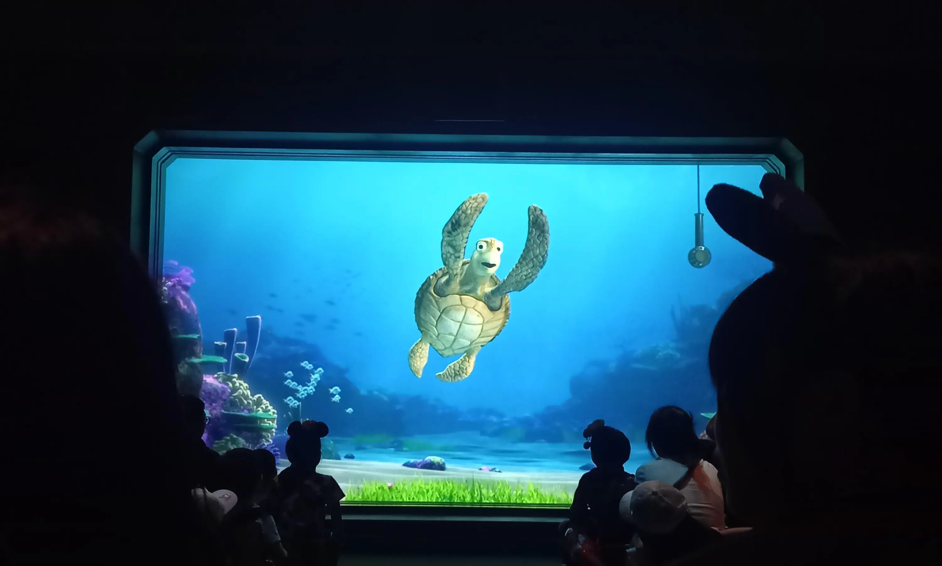 タートルトーク