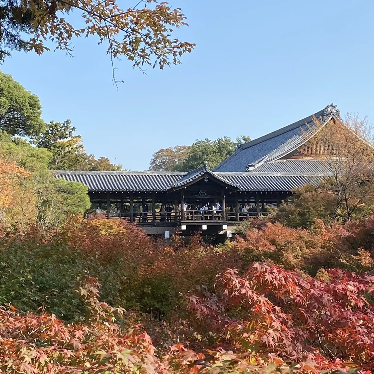 紅葉の名所、京都・東福寺の通天橋から想う映画のシーン_1_1