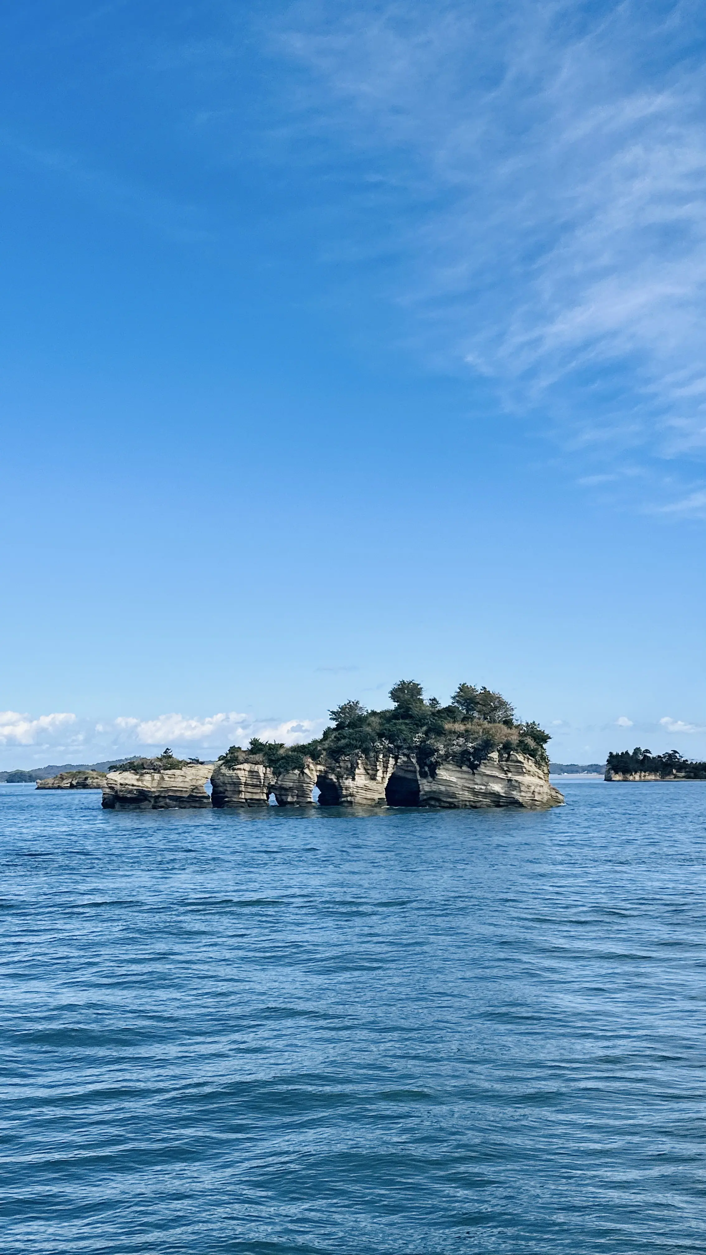 【秋の仙台旅行】「宮島」と「瑞巌寺」で鷹匠🦅にチャレンジ_1_5
