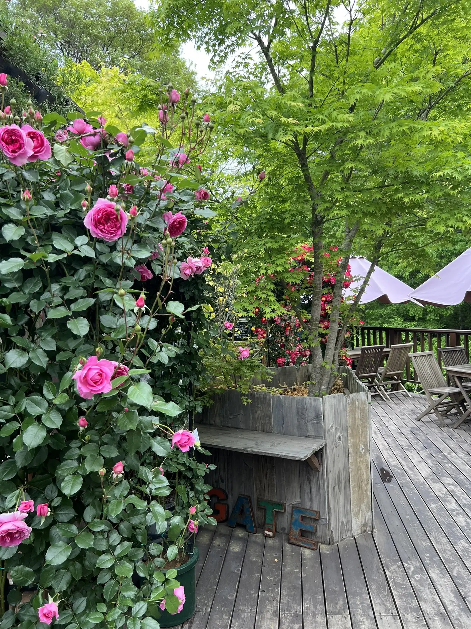 GAFLO CAFE