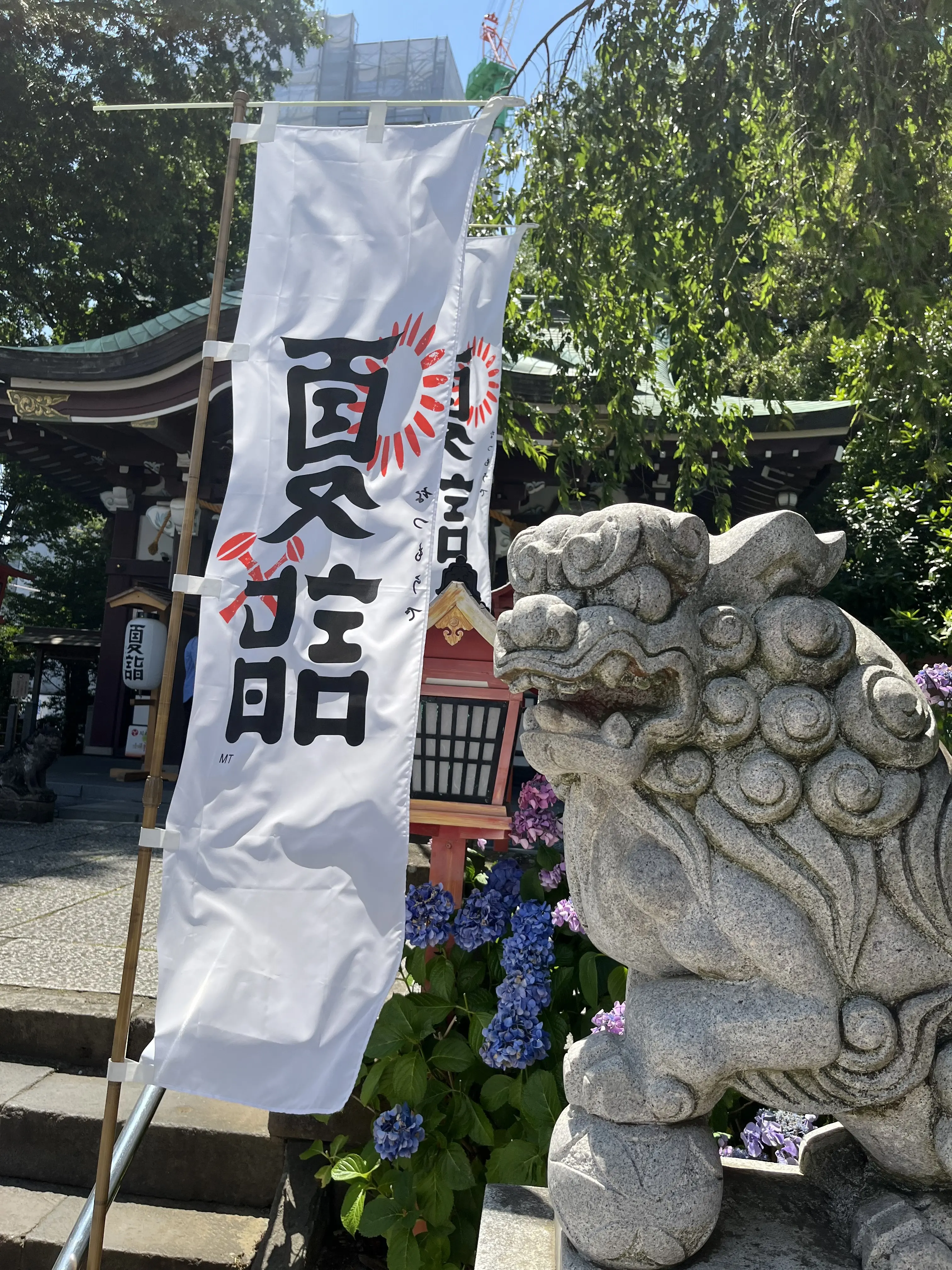 茅の輪くぐりと楽しみにしていたライブ_1_7