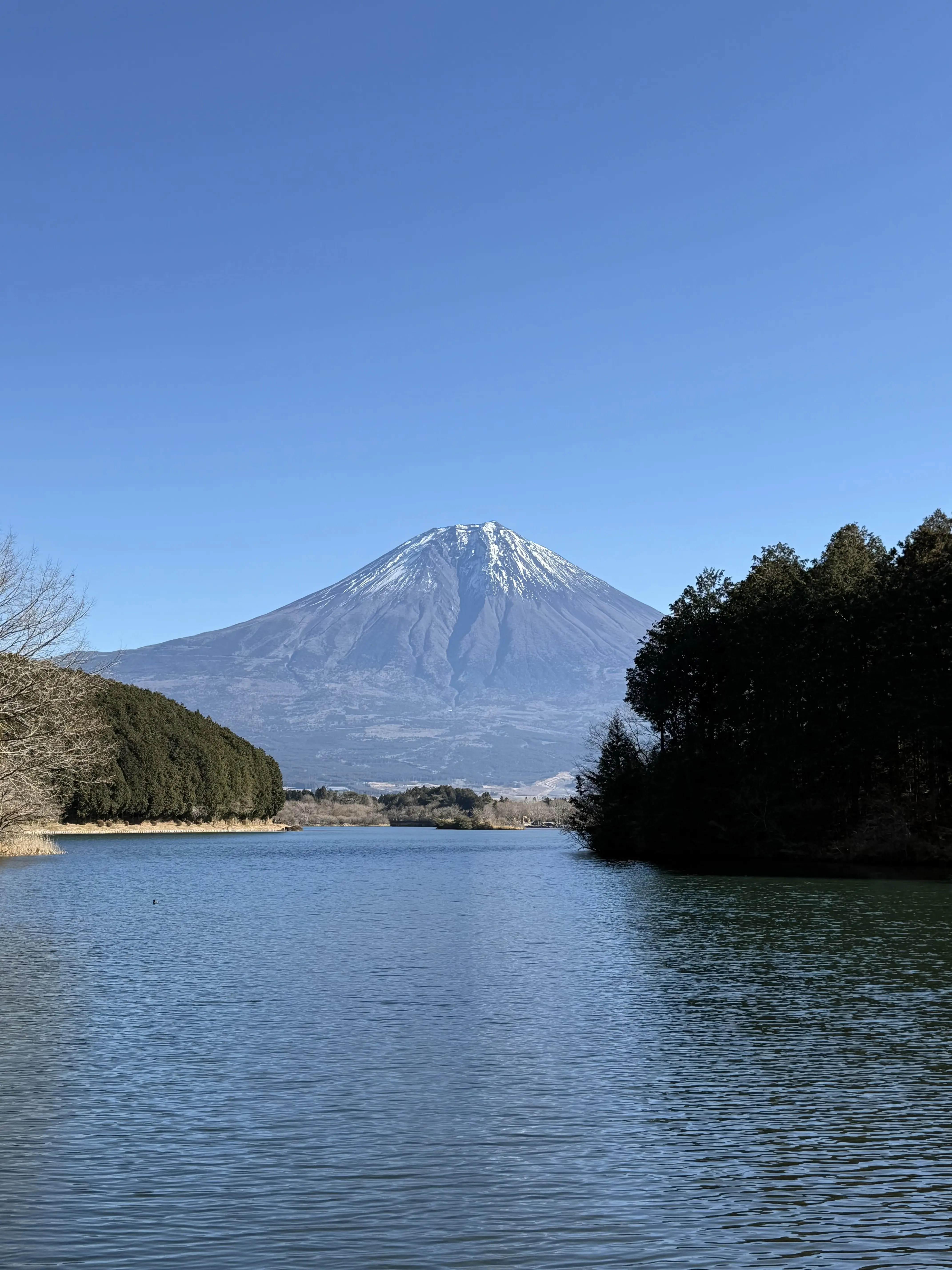 富士山　田貫湖　富岳テラス　田貫湖富岳テラス