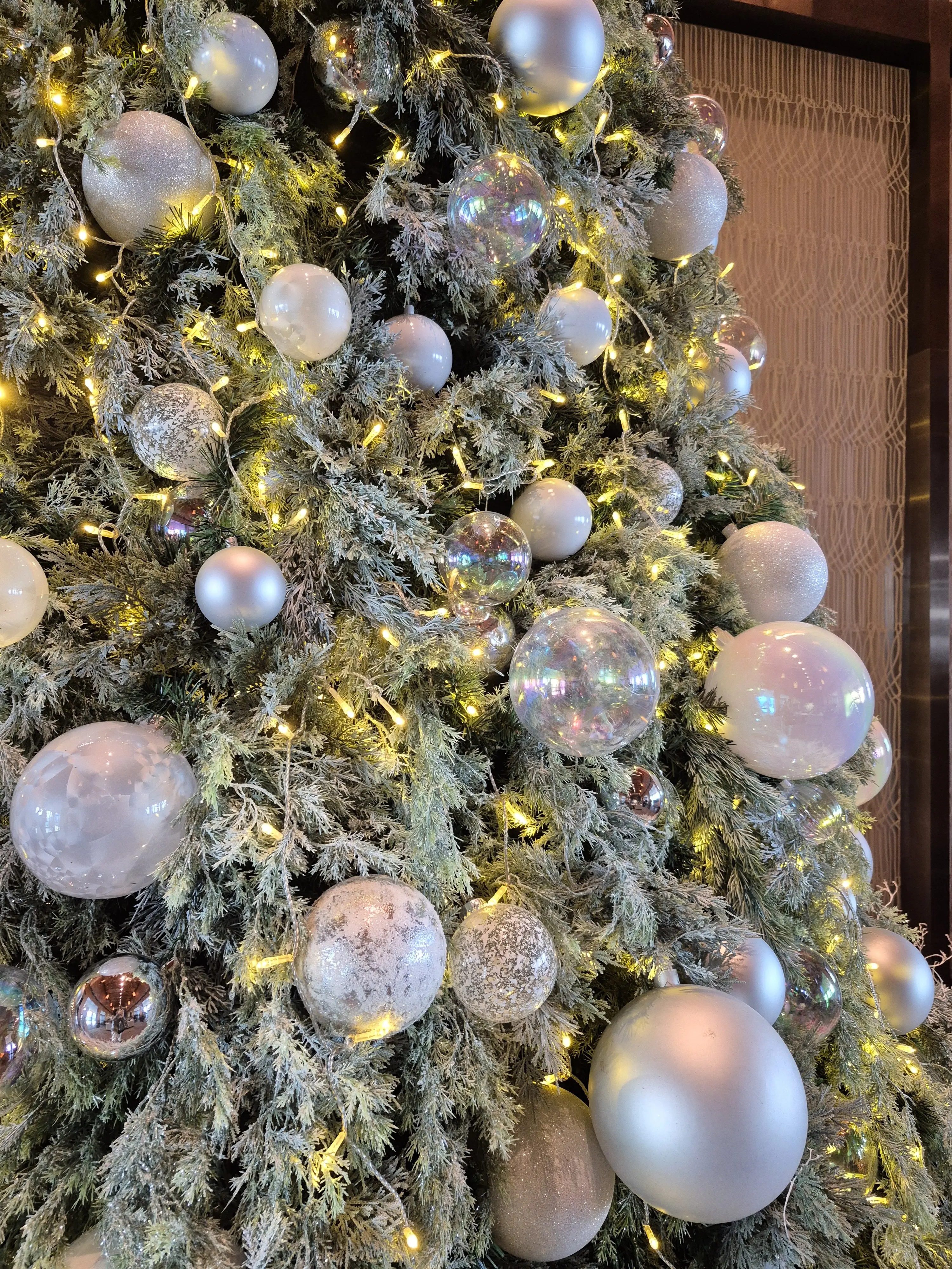 【日本橋】開運イルミネーション＆見納めツリー巡り_1_7-1