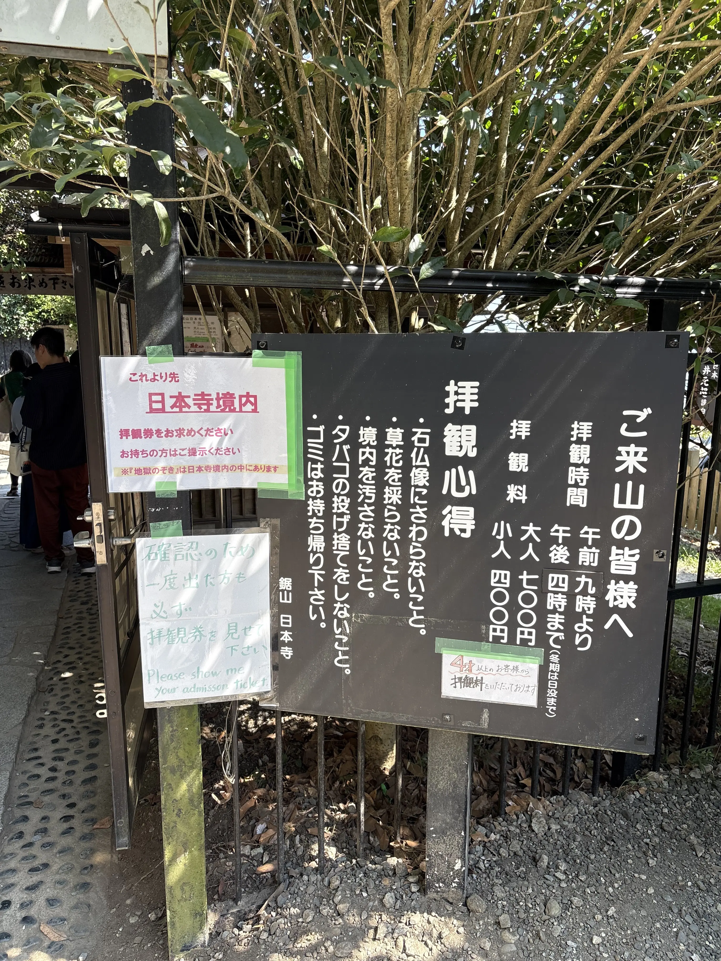 館山　千葉　夏休み　夫婦旅行