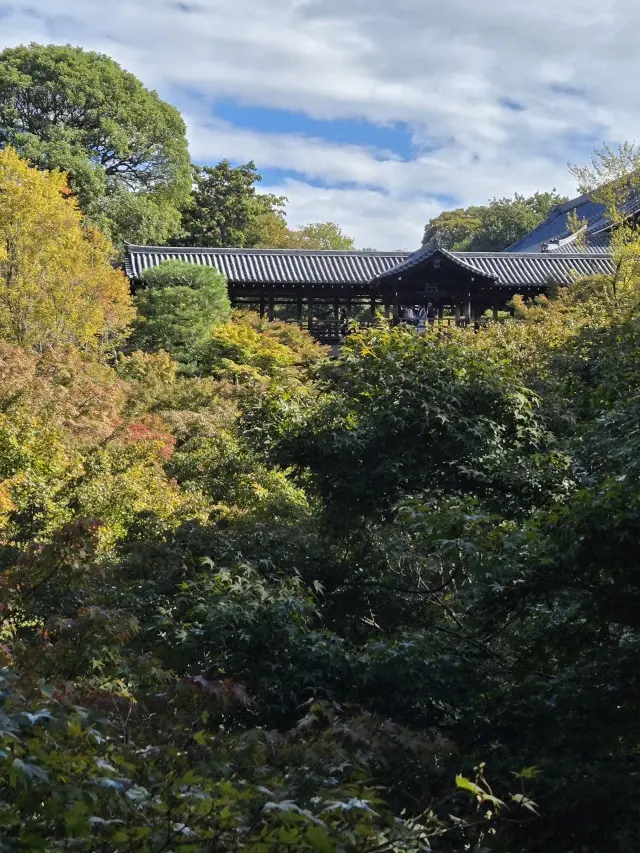 秋の京都ひとり旅・前編 〜弾丸旅の始まりは思い出の場所から〜_1_8