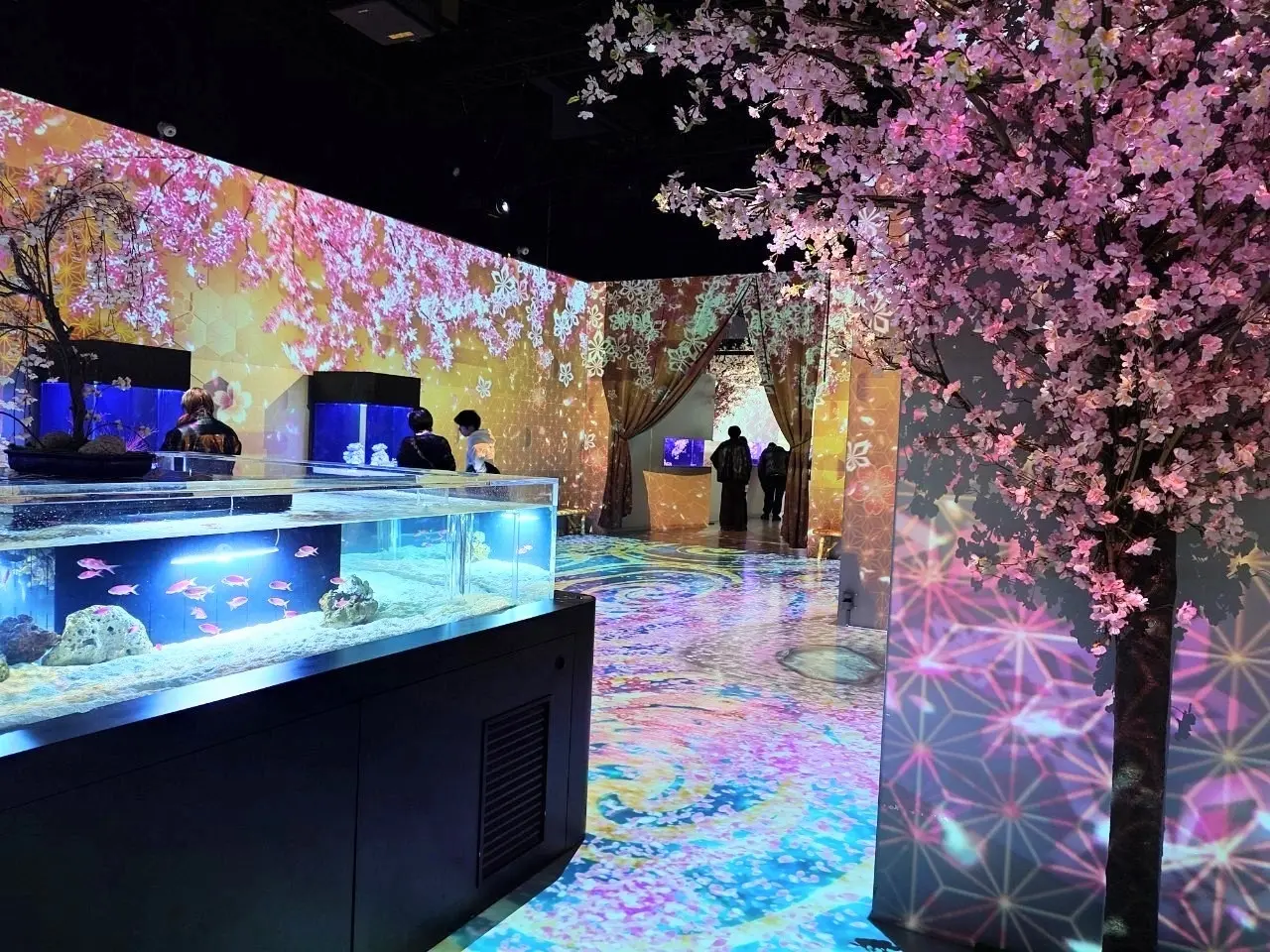 NAKED SAKURA AQUARIUM