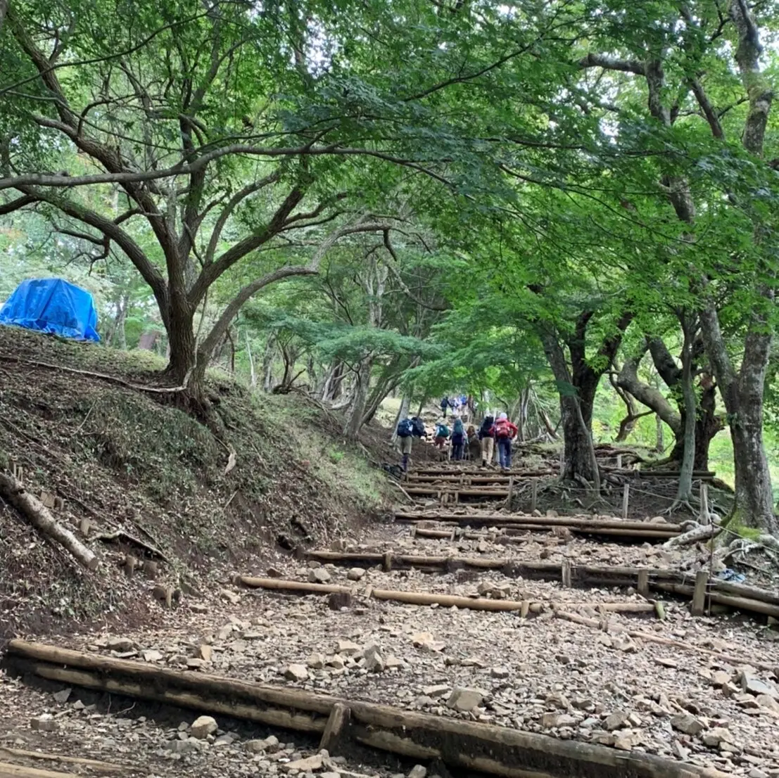 平坦な山道をずっと歩きます