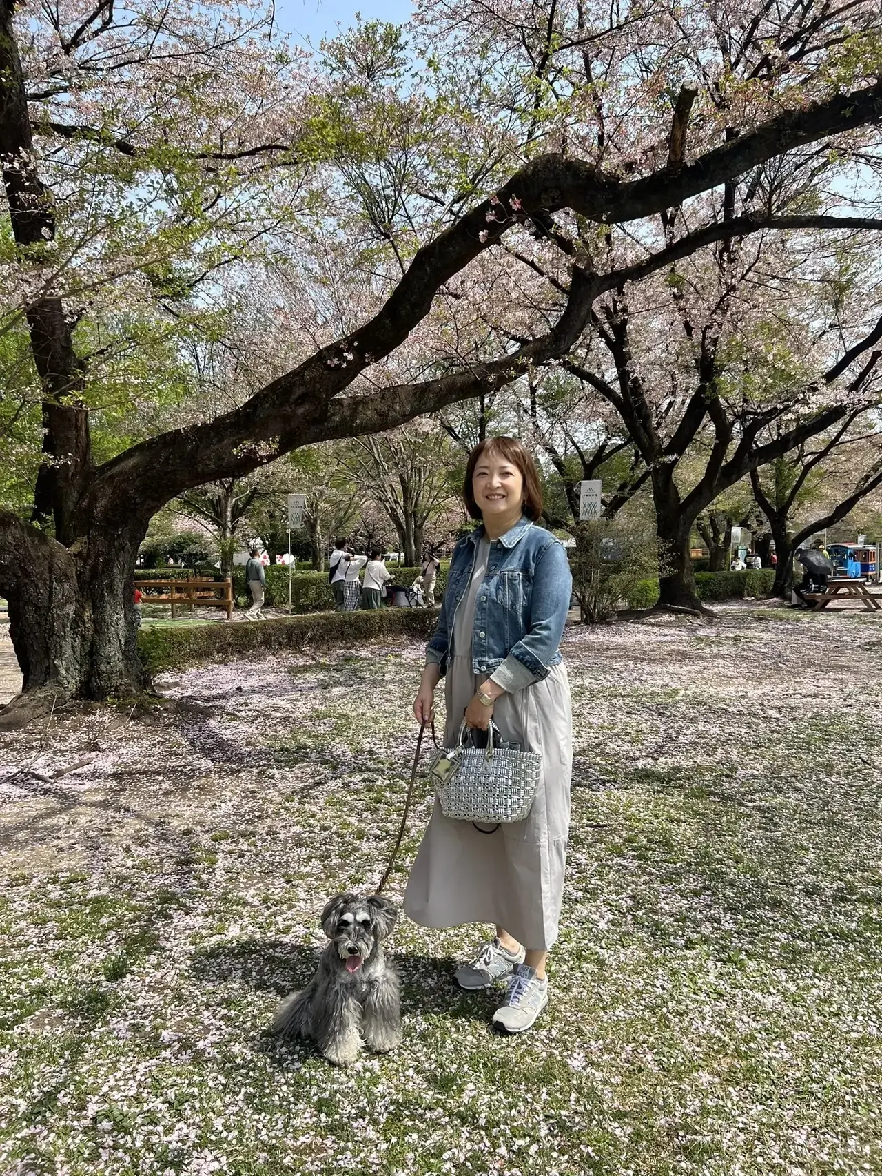 UNIQLOワンピース＆ZARAジャケットで那須高原へ