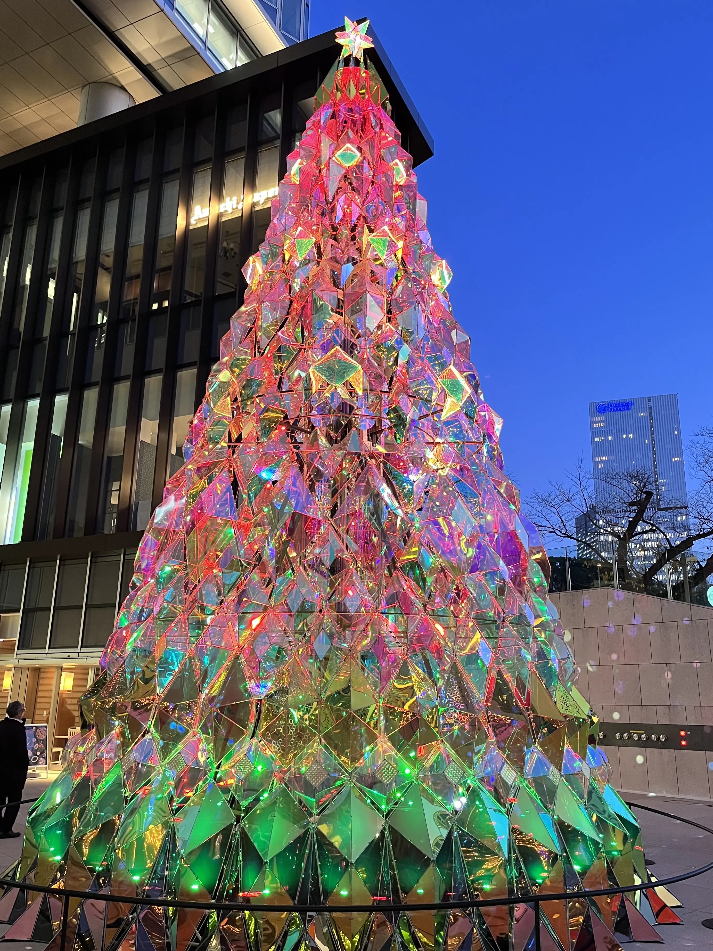 続・続・Jマダムメンバーとキラキラ観賞☆⭐︎☆_1_17