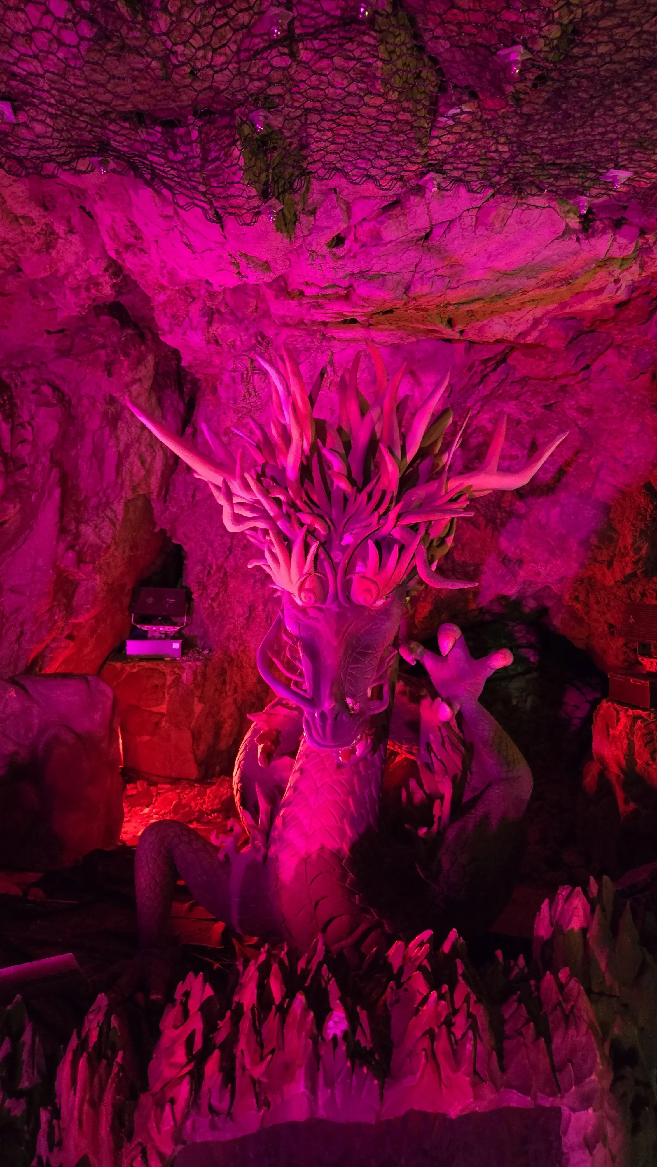 江の島で運気を整える！｢祐気取り｣プチトリップ_1_13