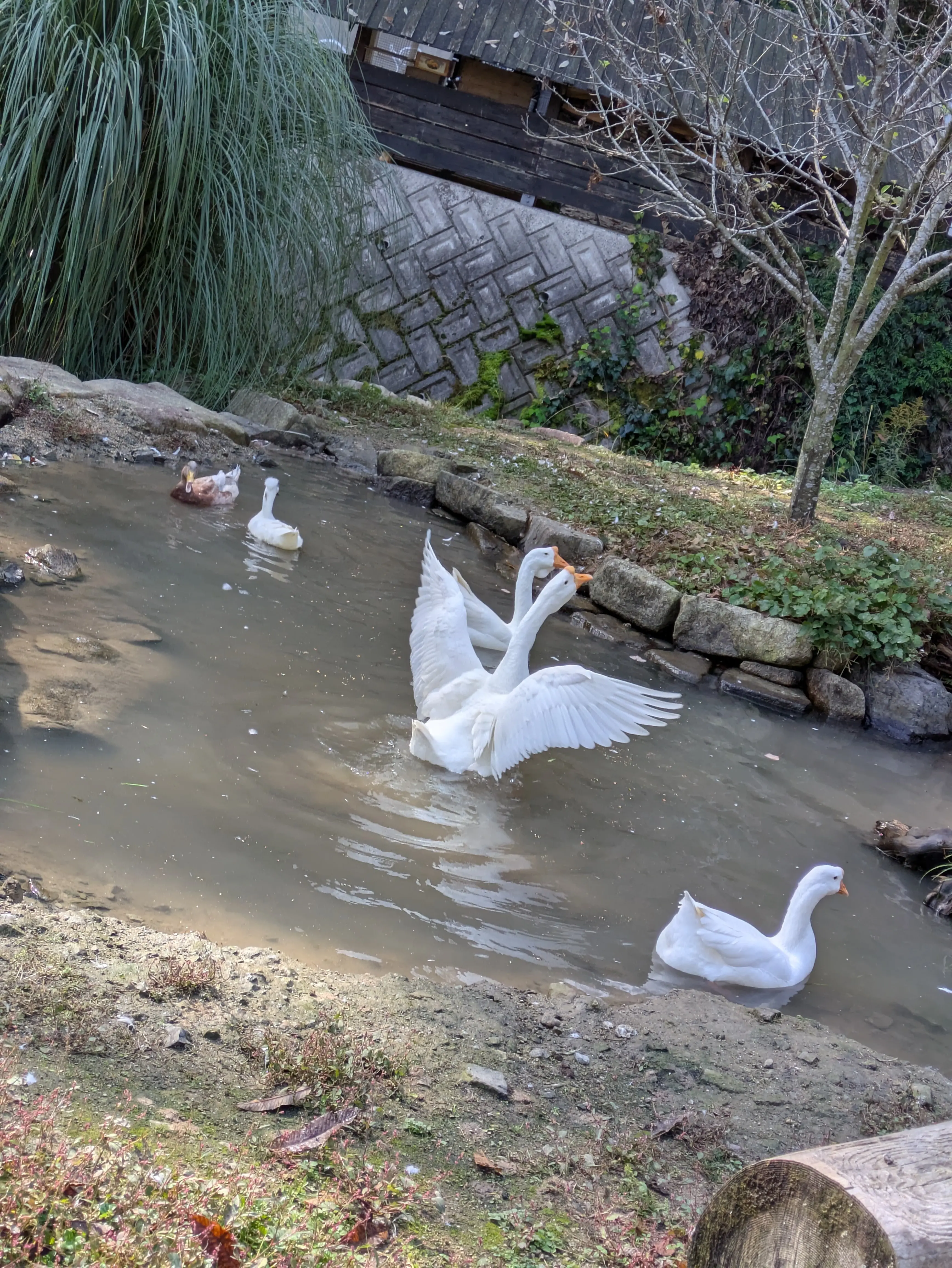 森の中の小さなパン屋さんでブランチデート♡_1_4