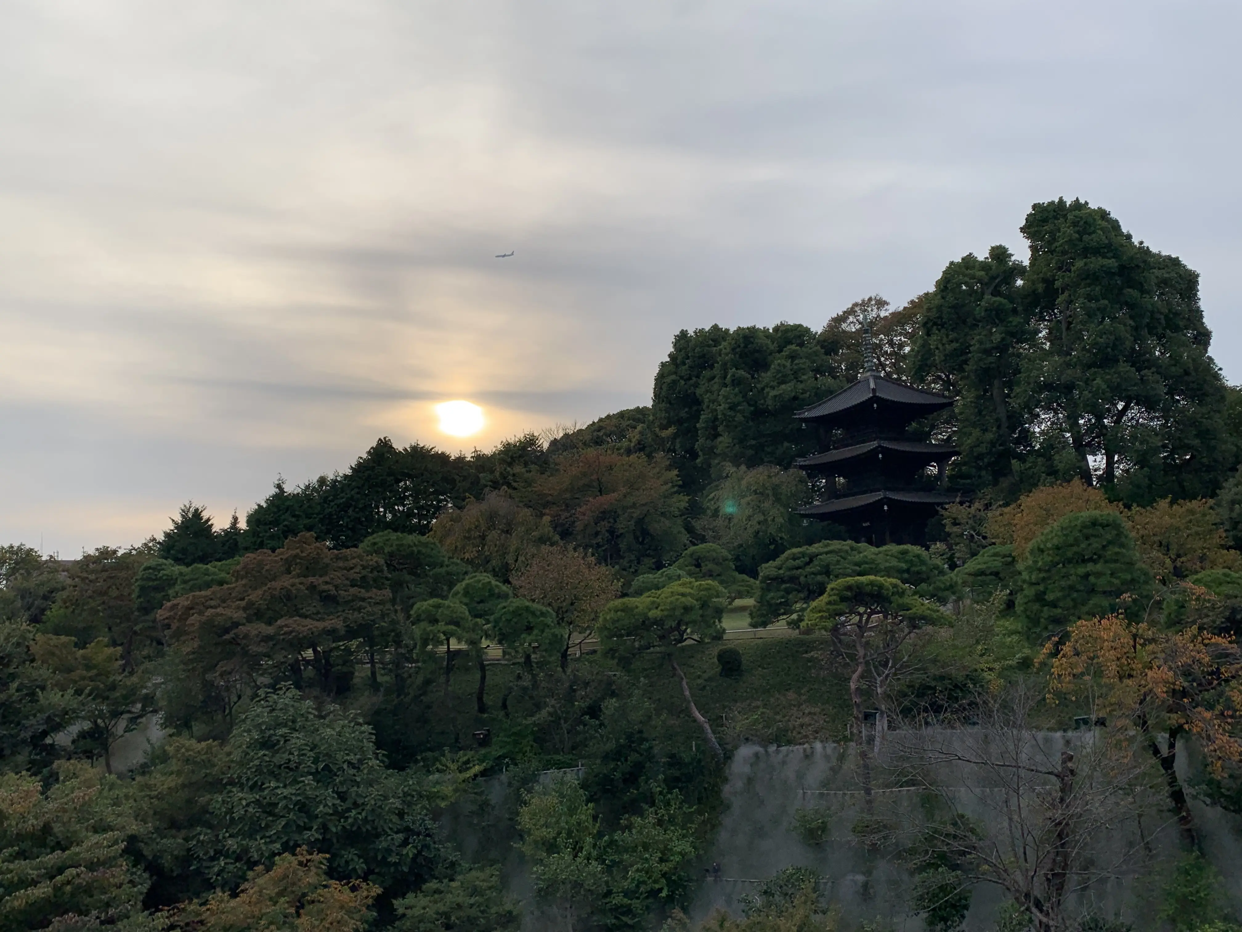 夕日と椿山荘の庭園