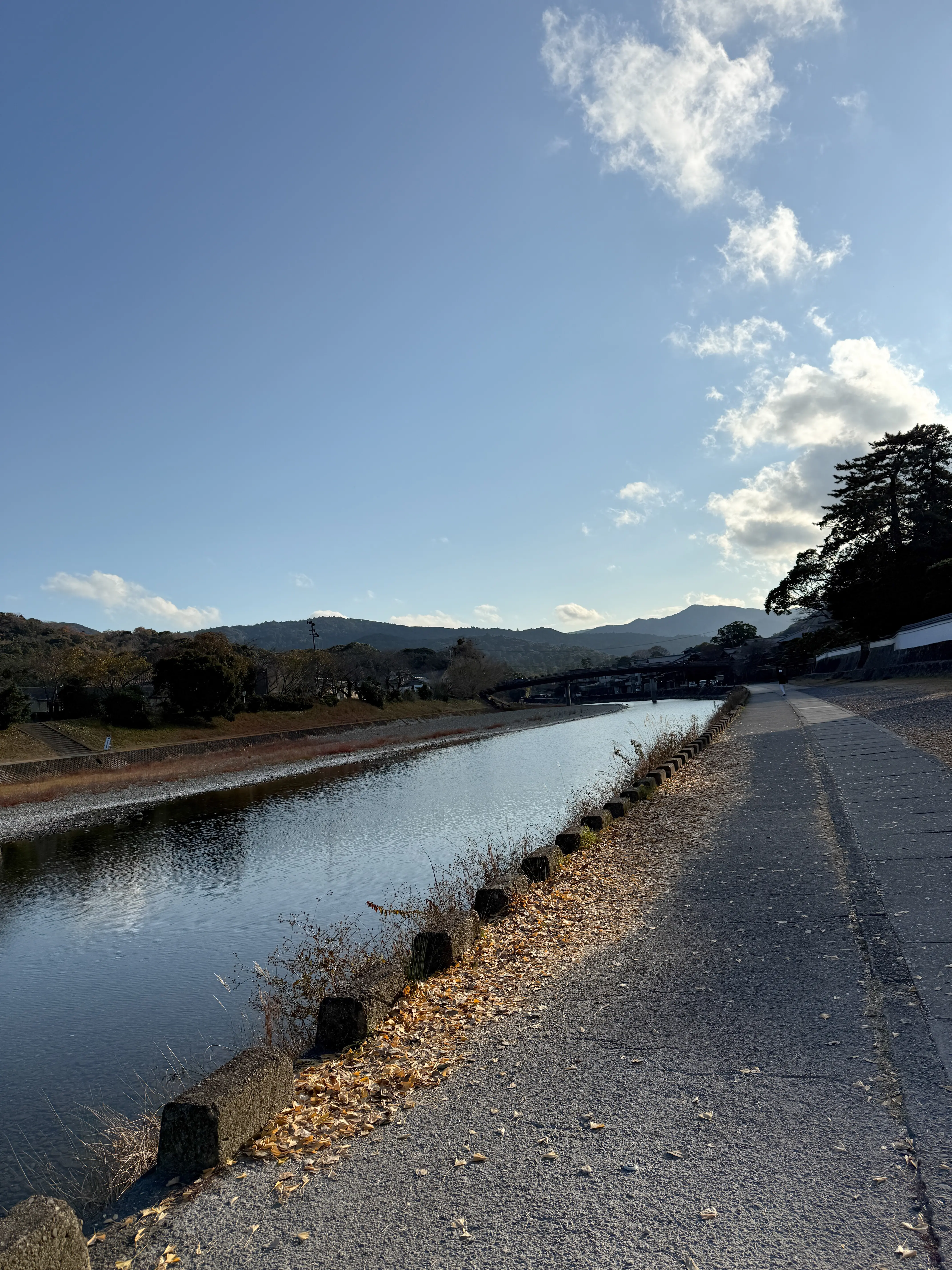 【伊勢】みちひらきの神様・猿田彦神社へ_1_8