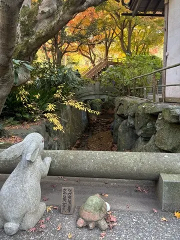 想像以上の絶景に出会えた神奈川の紅葉の見どころ〜北鎌倉・鎌倉編〜_1_1-2