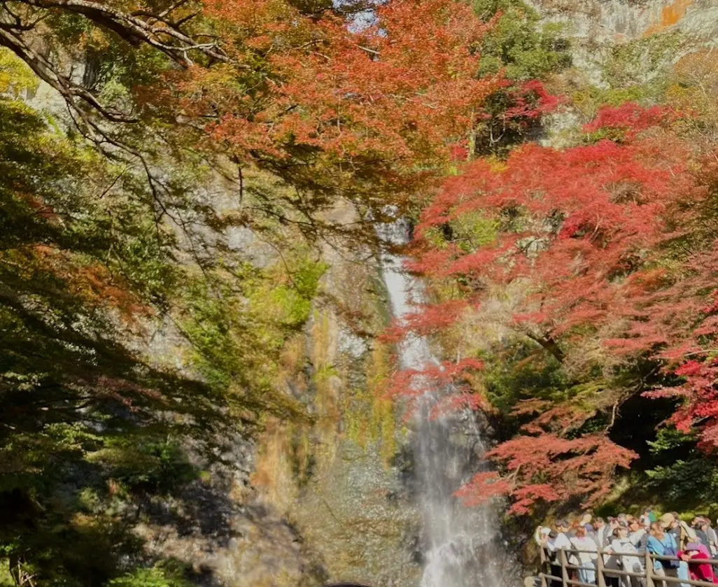箕面の大滝