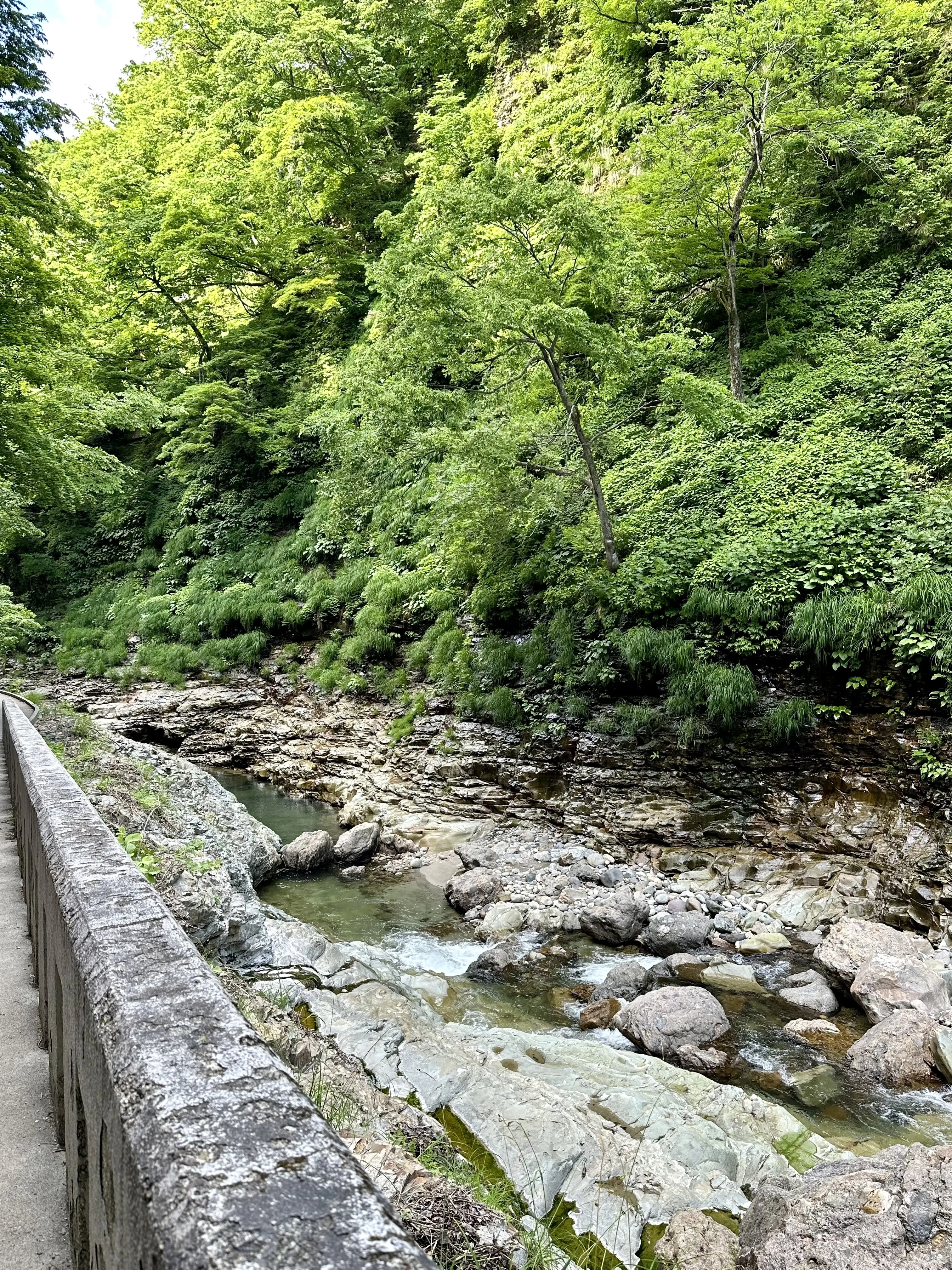 【秋田】雄大な自然と温泉を楽しむ旅ー秋田県小安峡温泉_1_26