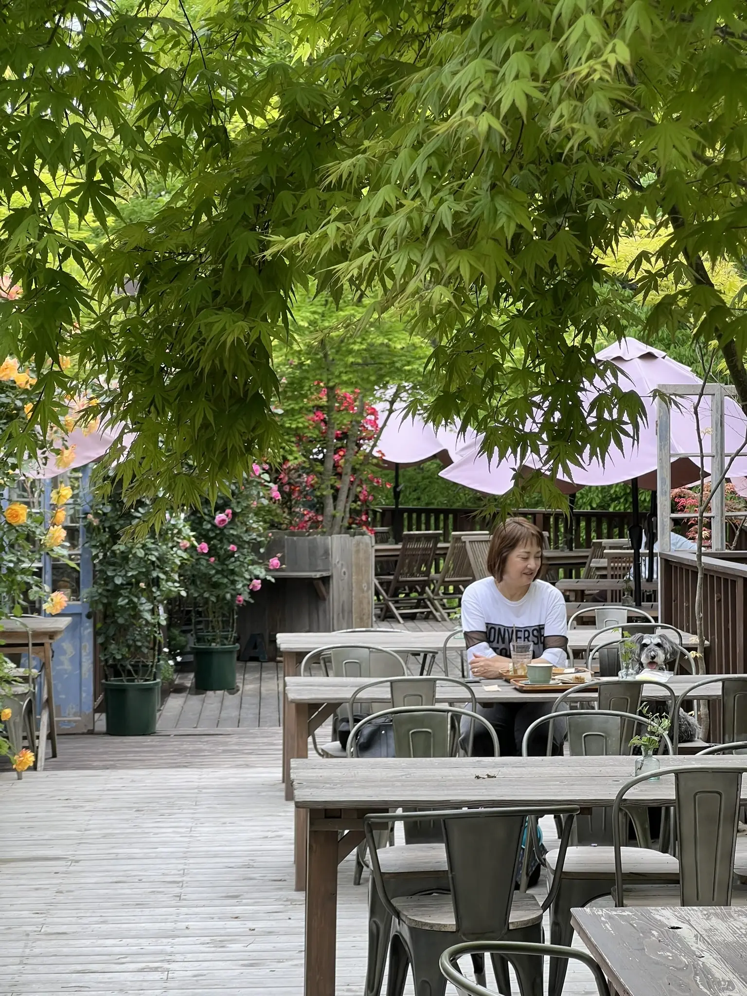 GAFLO CAFE