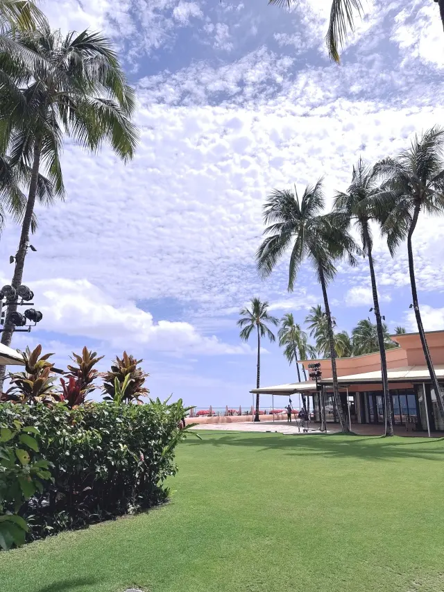 【HAWAII 】ハワイでの美活♡やはりこれですよね！_1_8