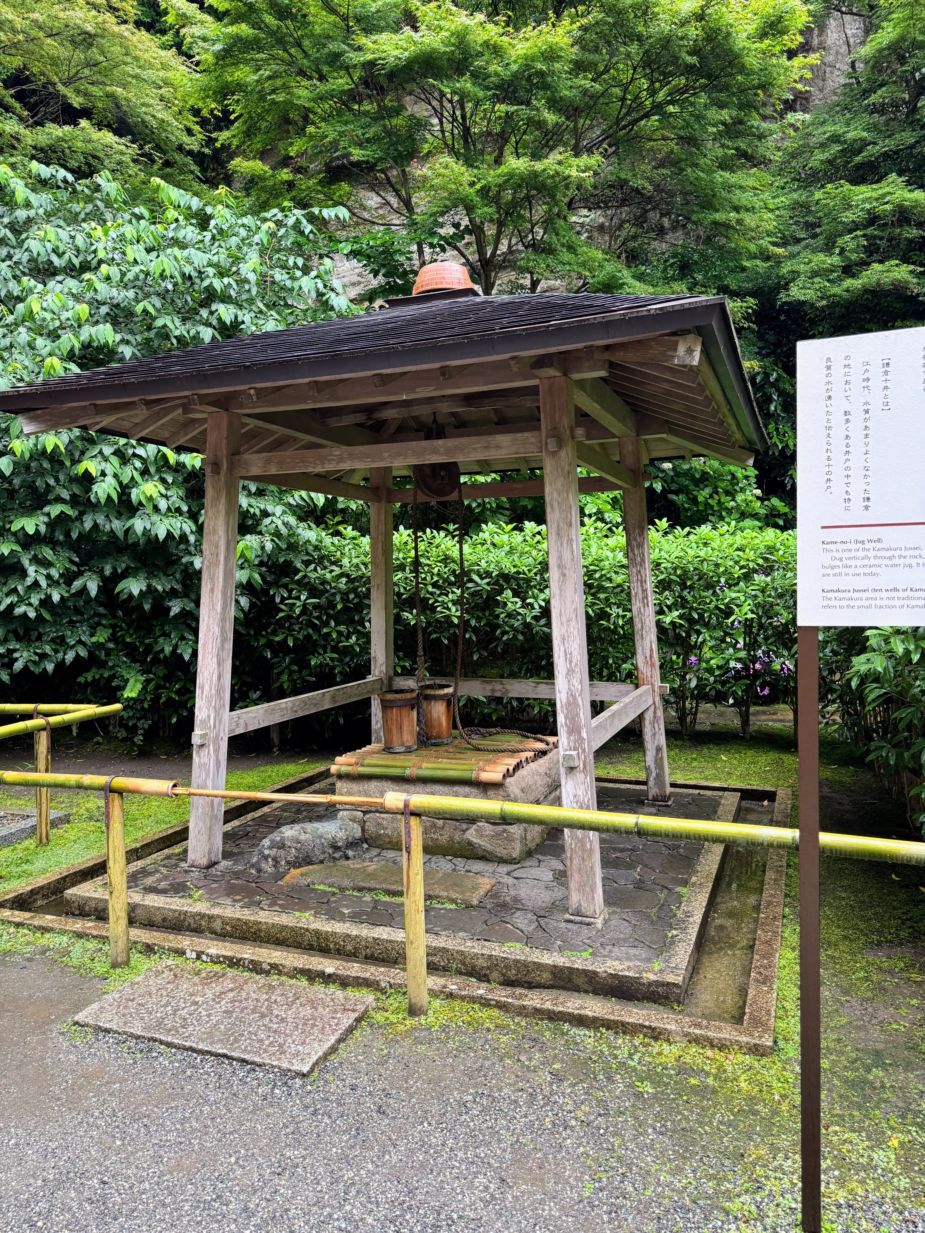 紫陽花の季節、自分で仕立てたお着物で古都鎌倉・明月院へ_1_6