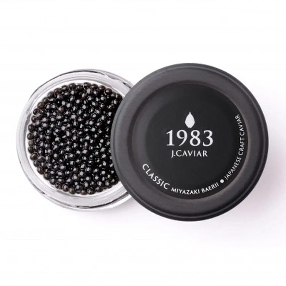 ふるさと納税　宮崎県日南市　キャビア