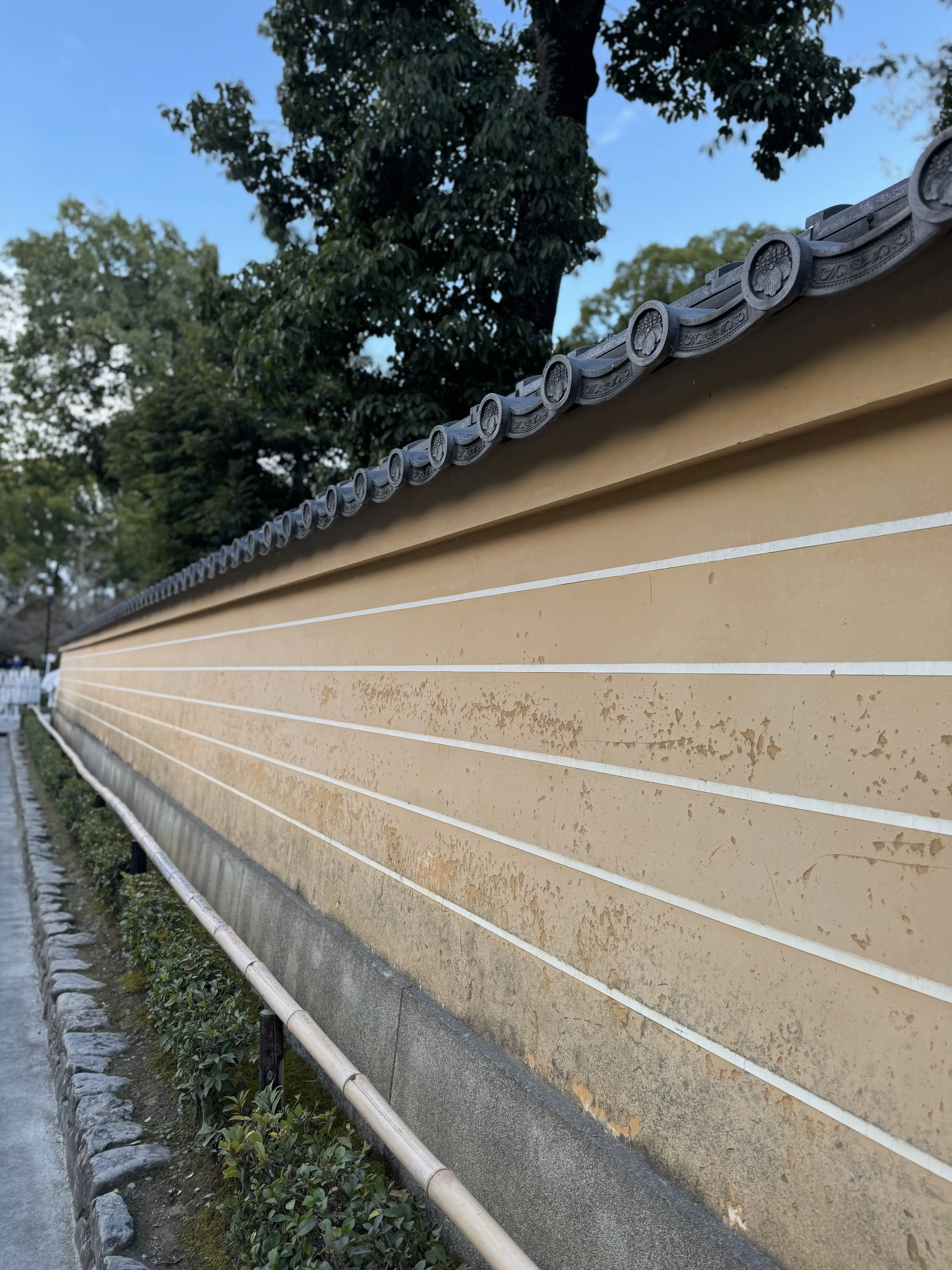  お正月の帰省と、京都で過ごした静かな時間_1_9-3