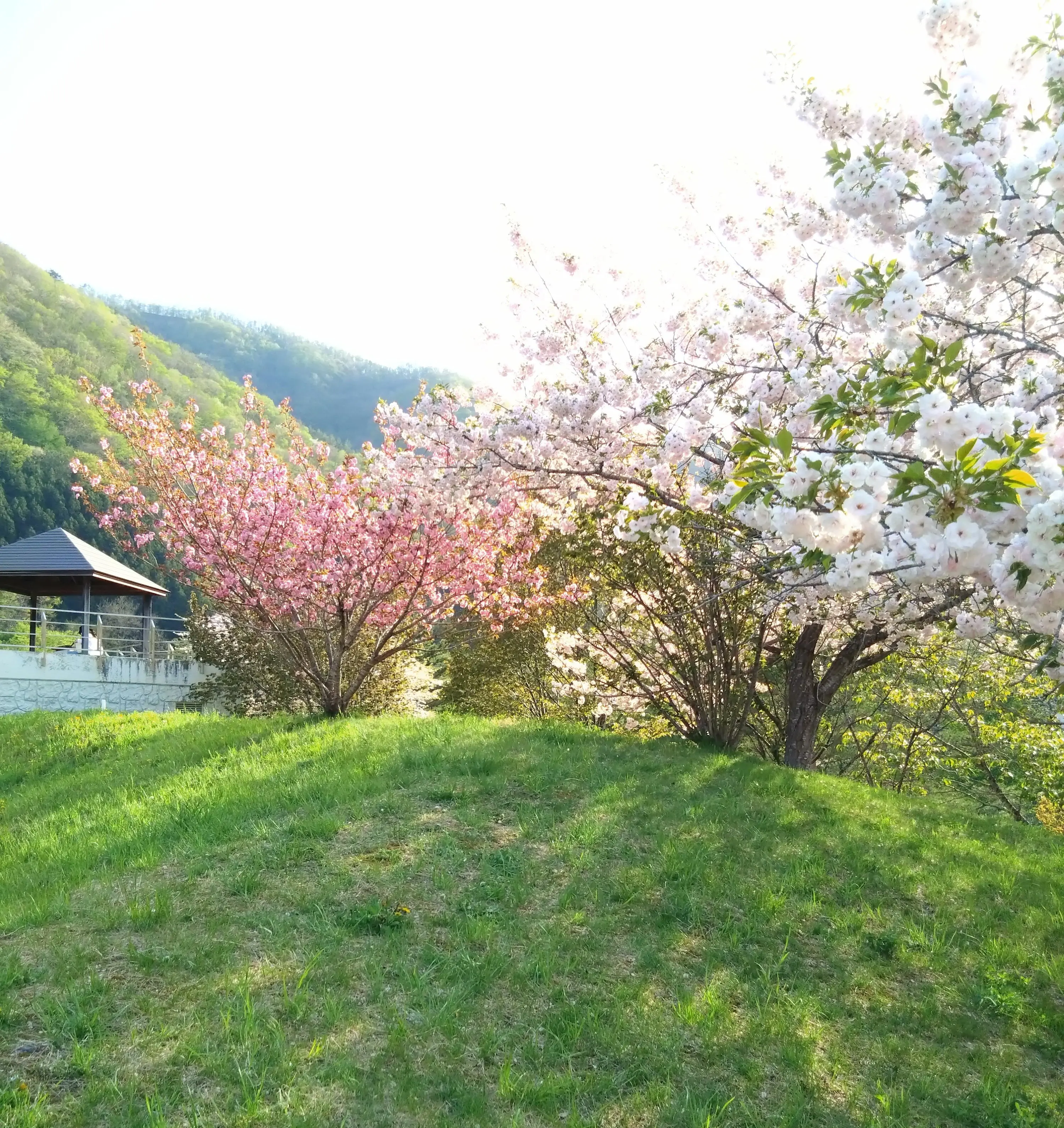 道の駅