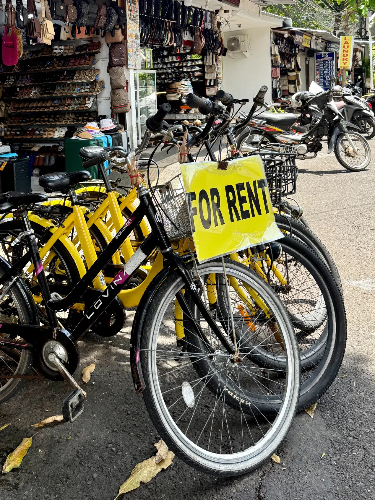 【50代夫婦旅行】 大人がのんびり楽しめるビーチと街があるバリ島サヌール地区_1_24