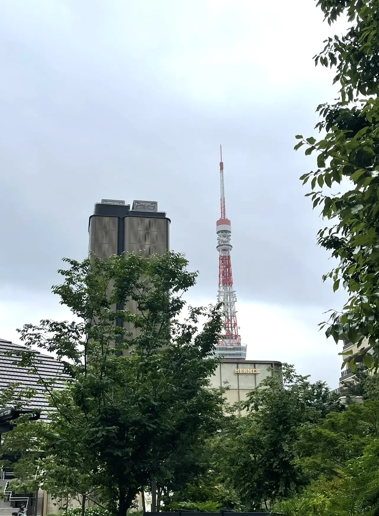 グリーンワンピースを着て初麻布台ヒルズランチ_1_4-1